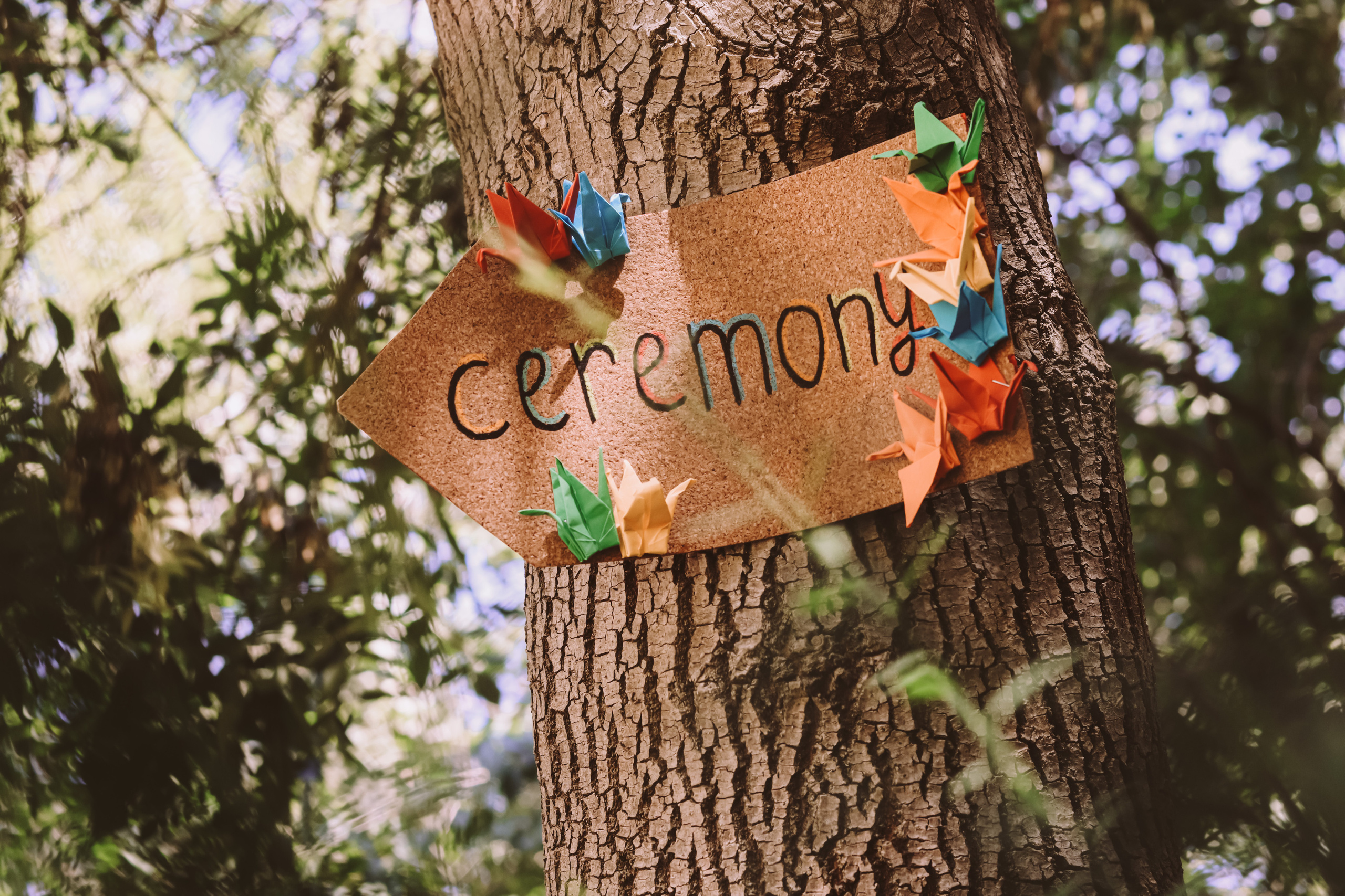Varya and Seva, Jerusalem, July 2023. Photographer in Israel Alice Milchin