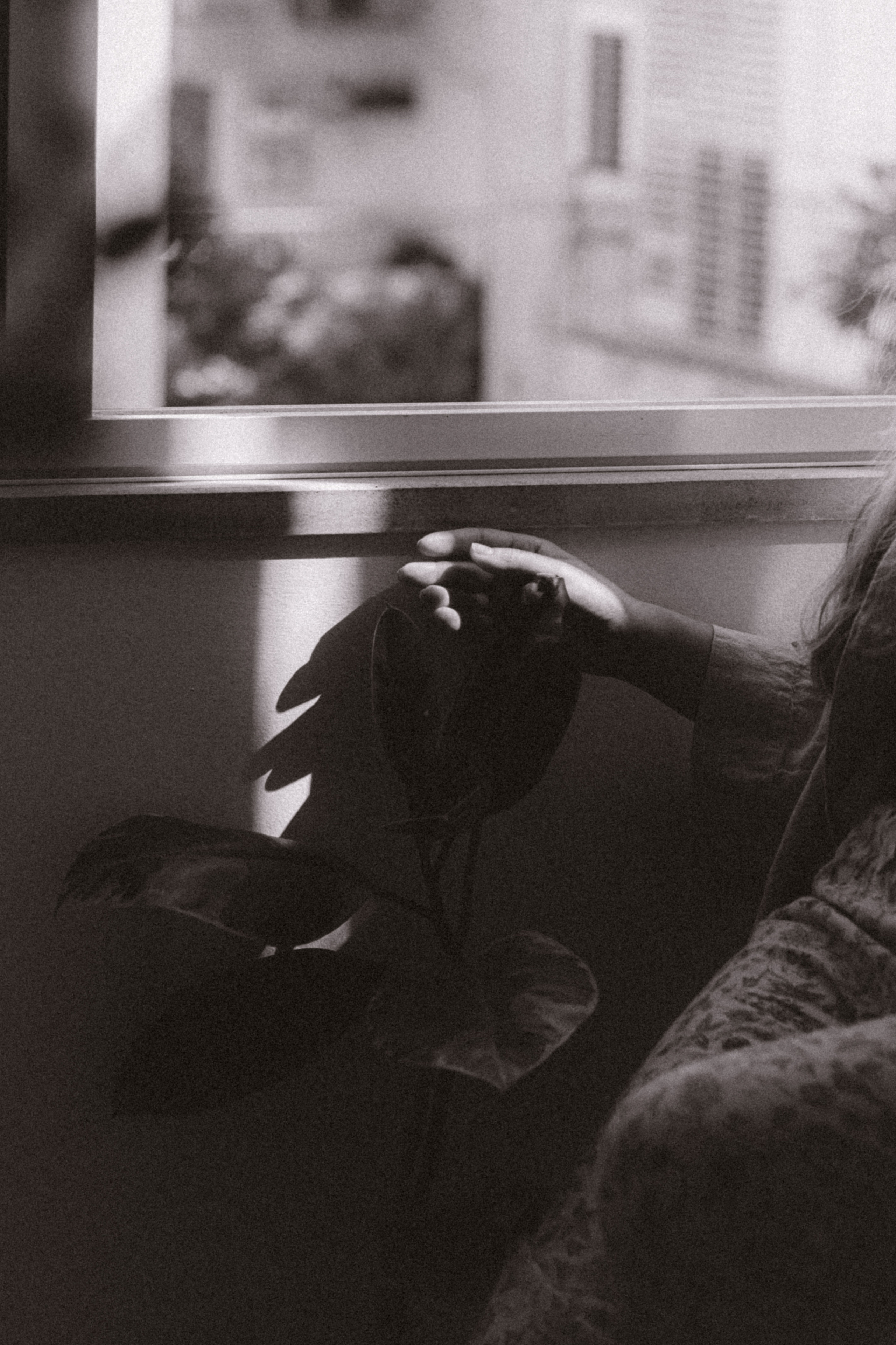 Sofya, Ramat Gan | September 2023. Photographer in Israel Alice Milchin