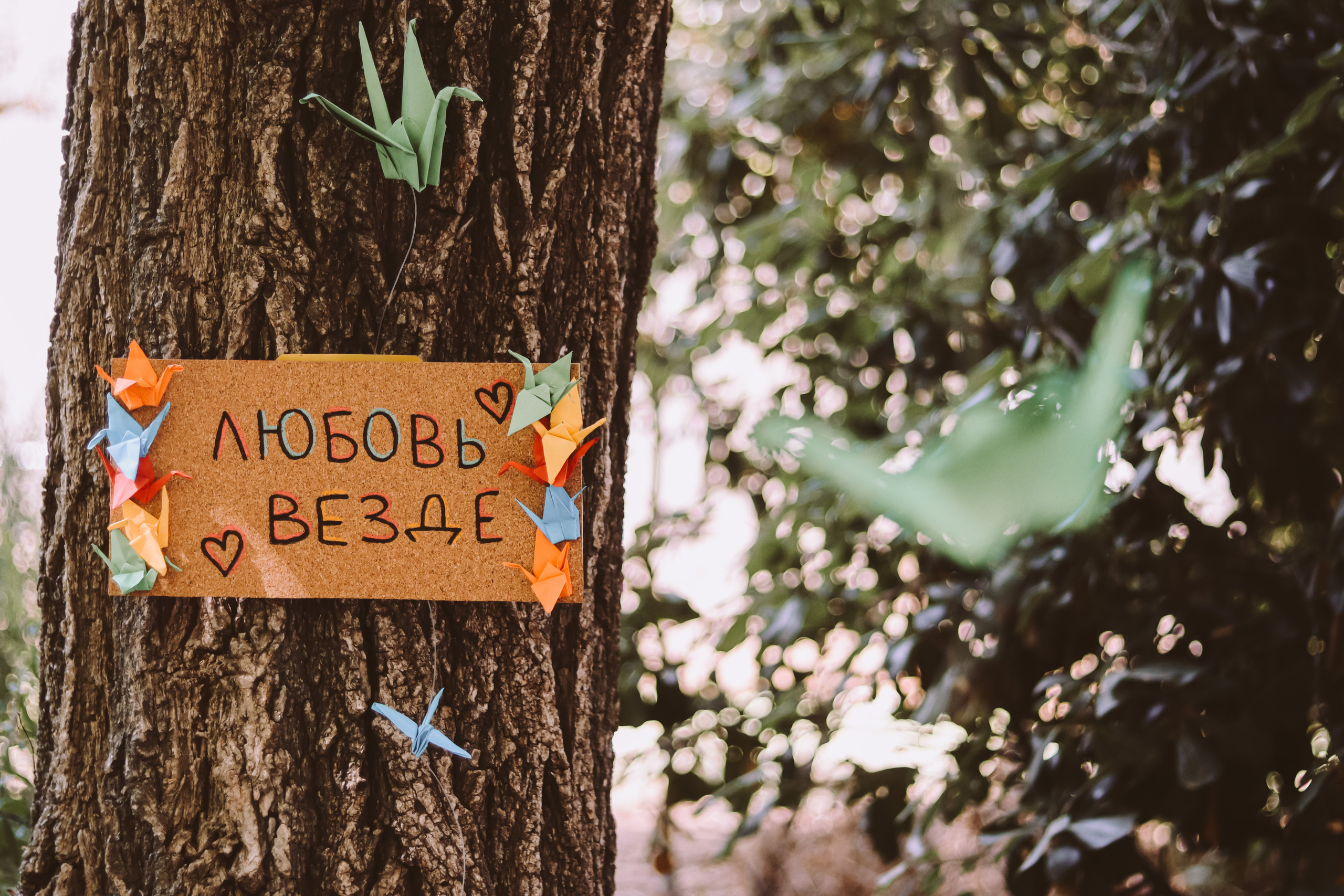 Varya and Seva, Jerusalem, July 2023. Photographer in Israel Alice Milchin