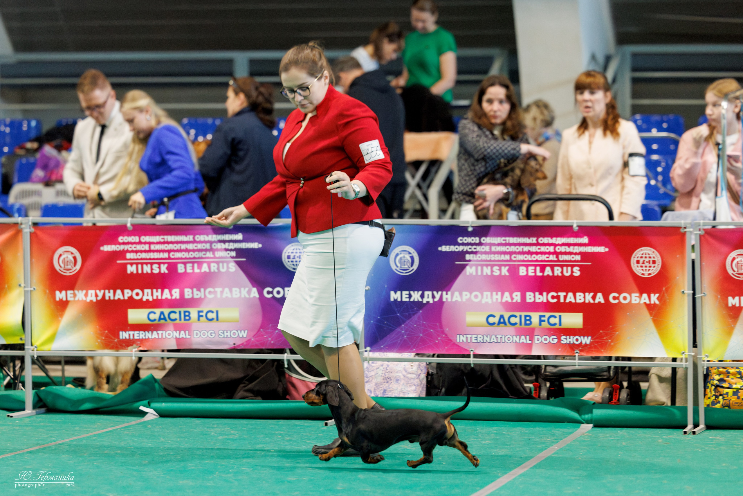 Минск 31.05-1.06.2025. Фотограф-анималист Юлия Германика