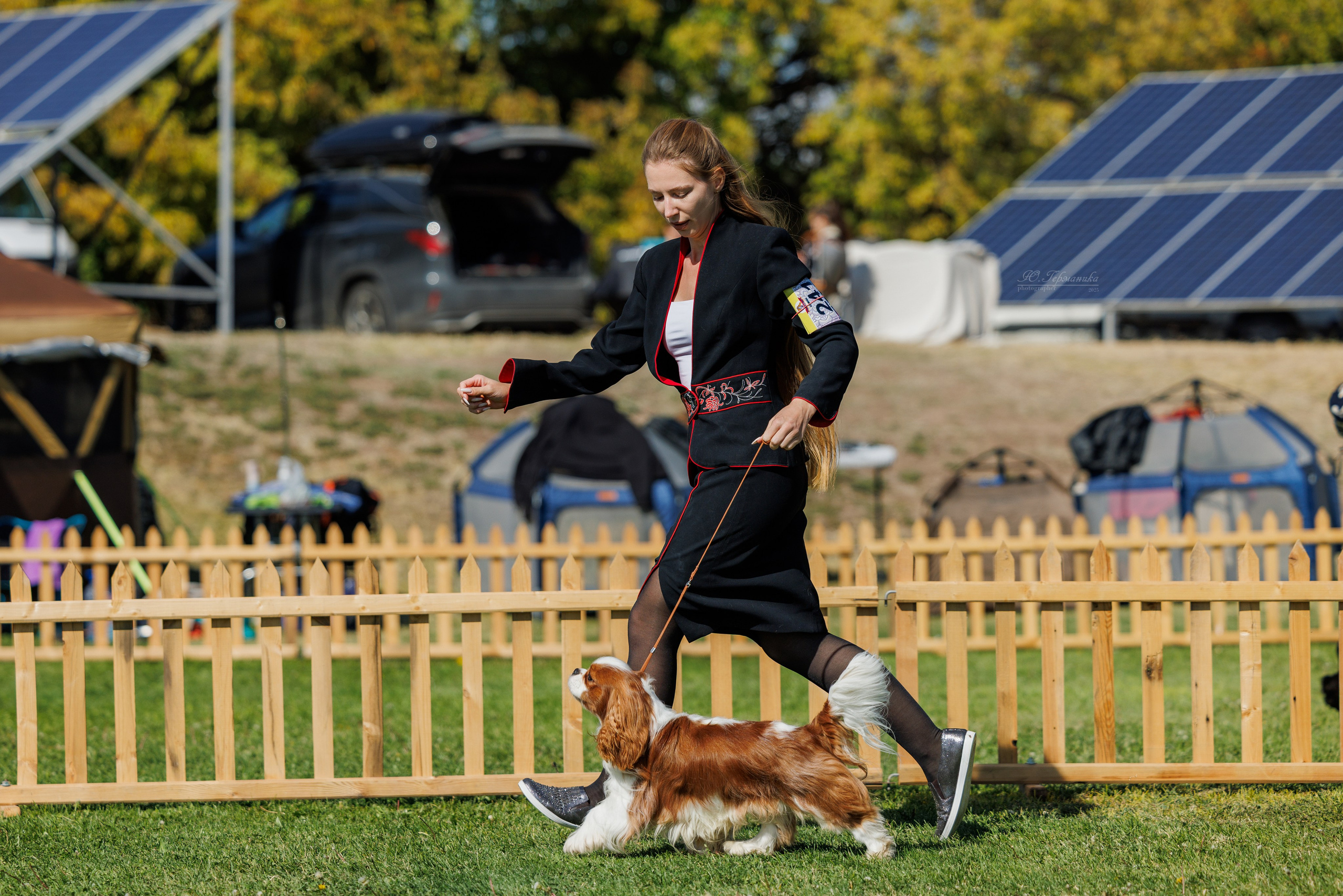 Ереван 14-16.10.2025. Фотограф-анималист Юлия Германика