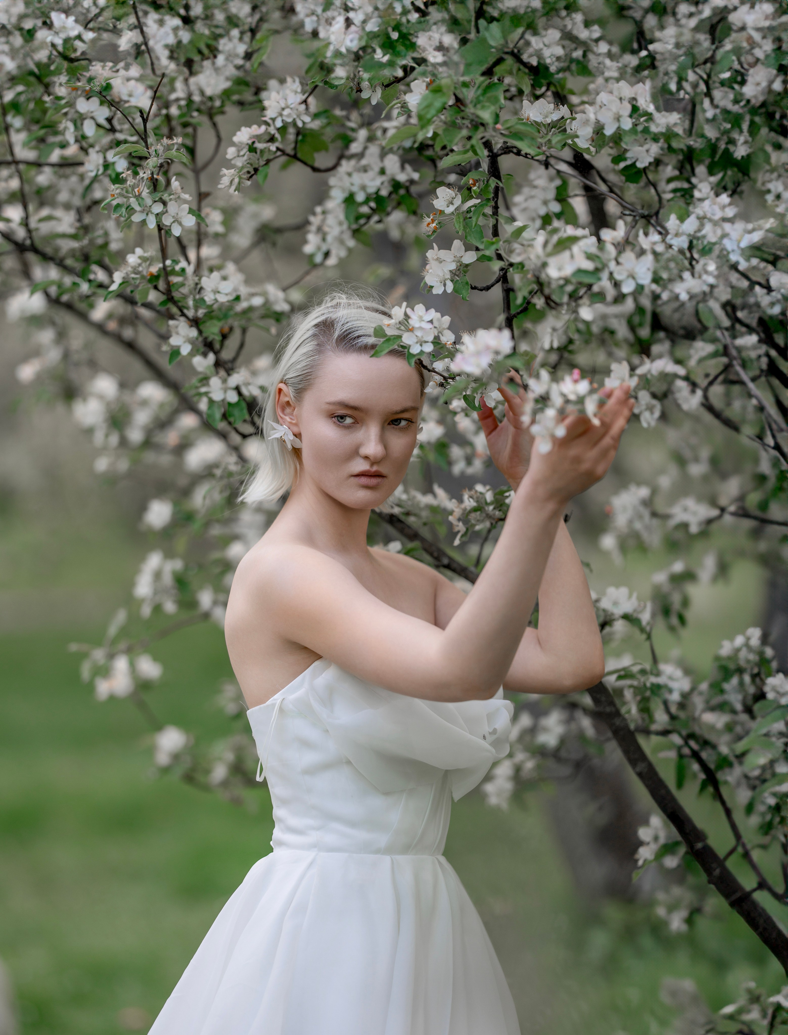 Цветение садов. Профессиональный фотограф в Москве Марина Григорьева
