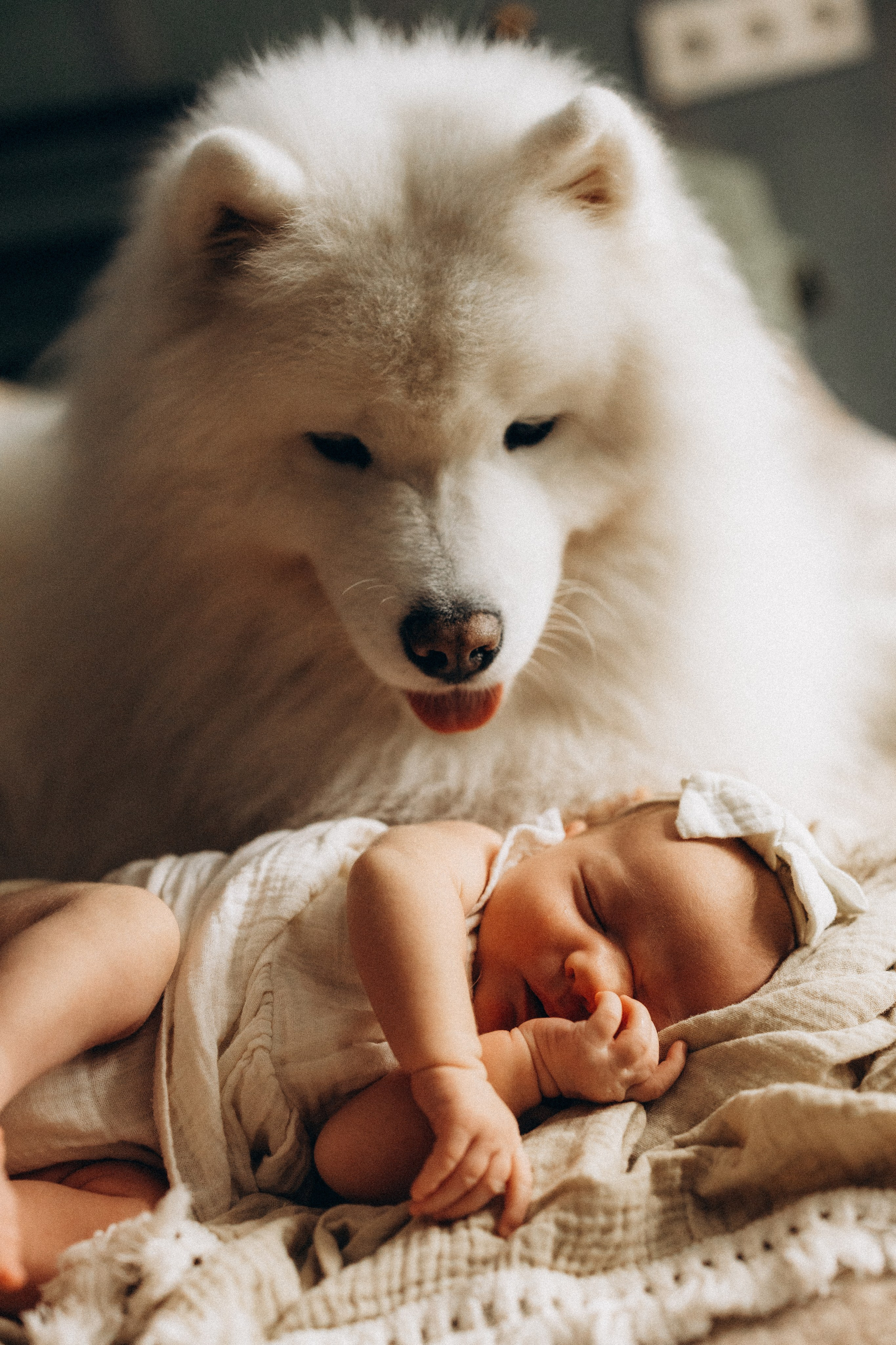 Василиса. Евгения Пелипас