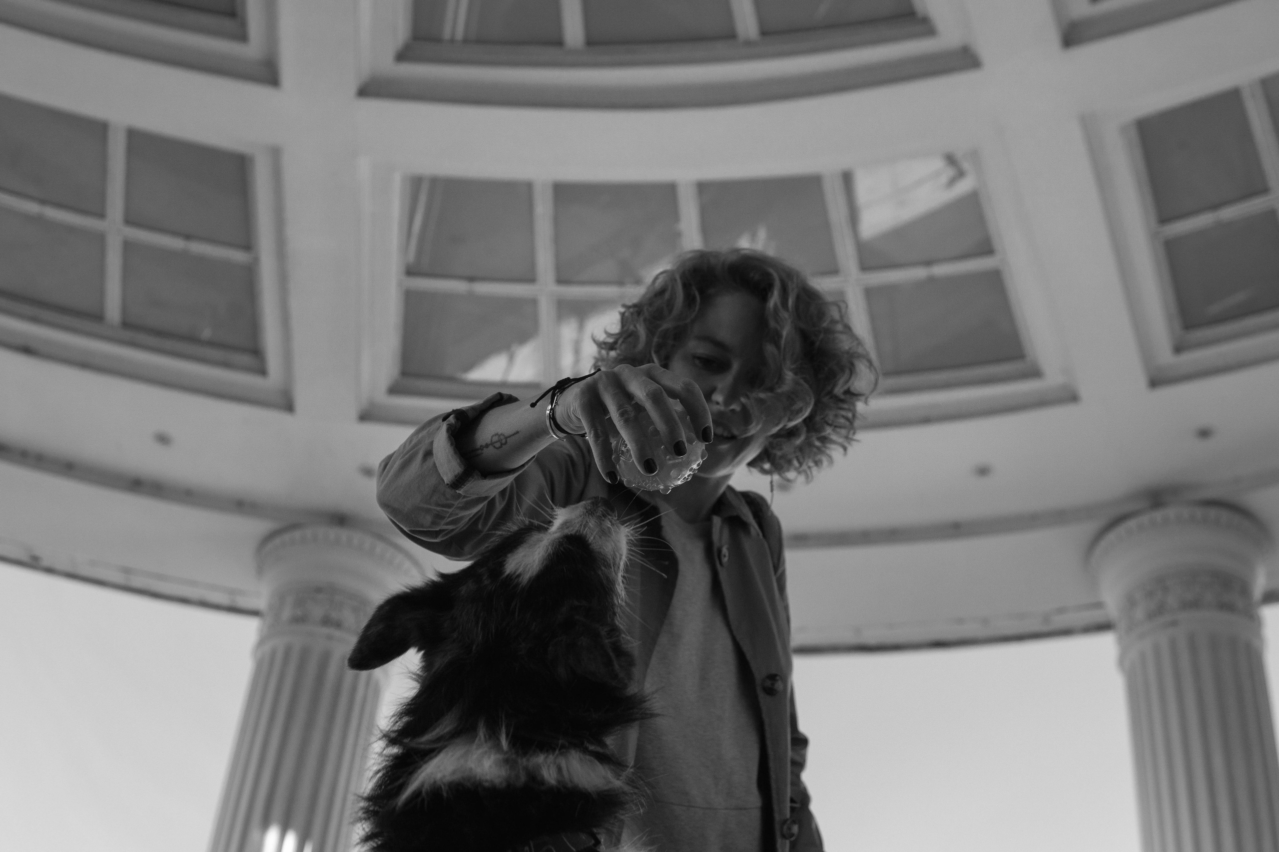 Даша и Тюбик. Фотограф-анималист Ксения Воробьева, Москва