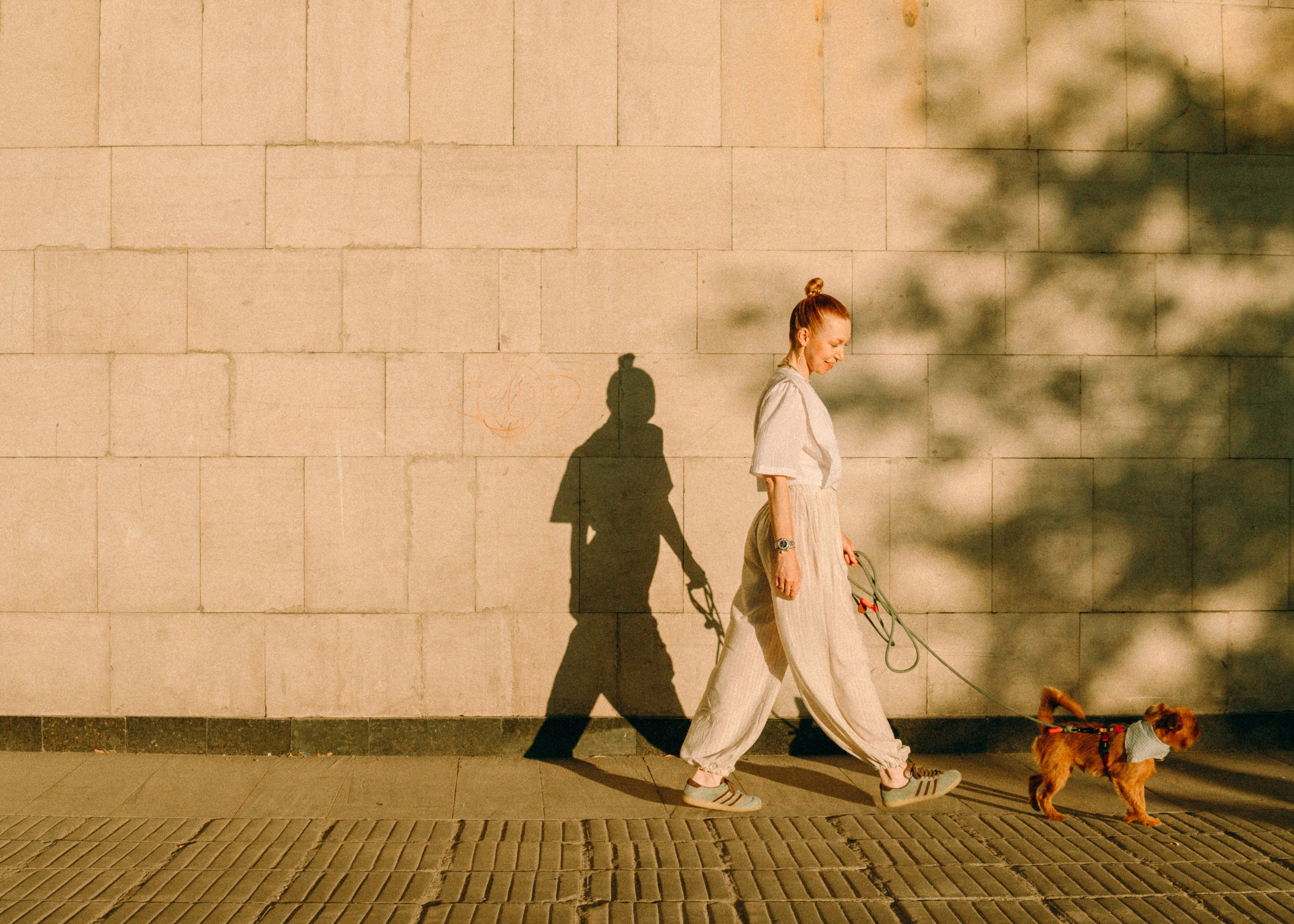 Лена и Альфи. Фотограф-анималист Ксения Воробьева, Москва