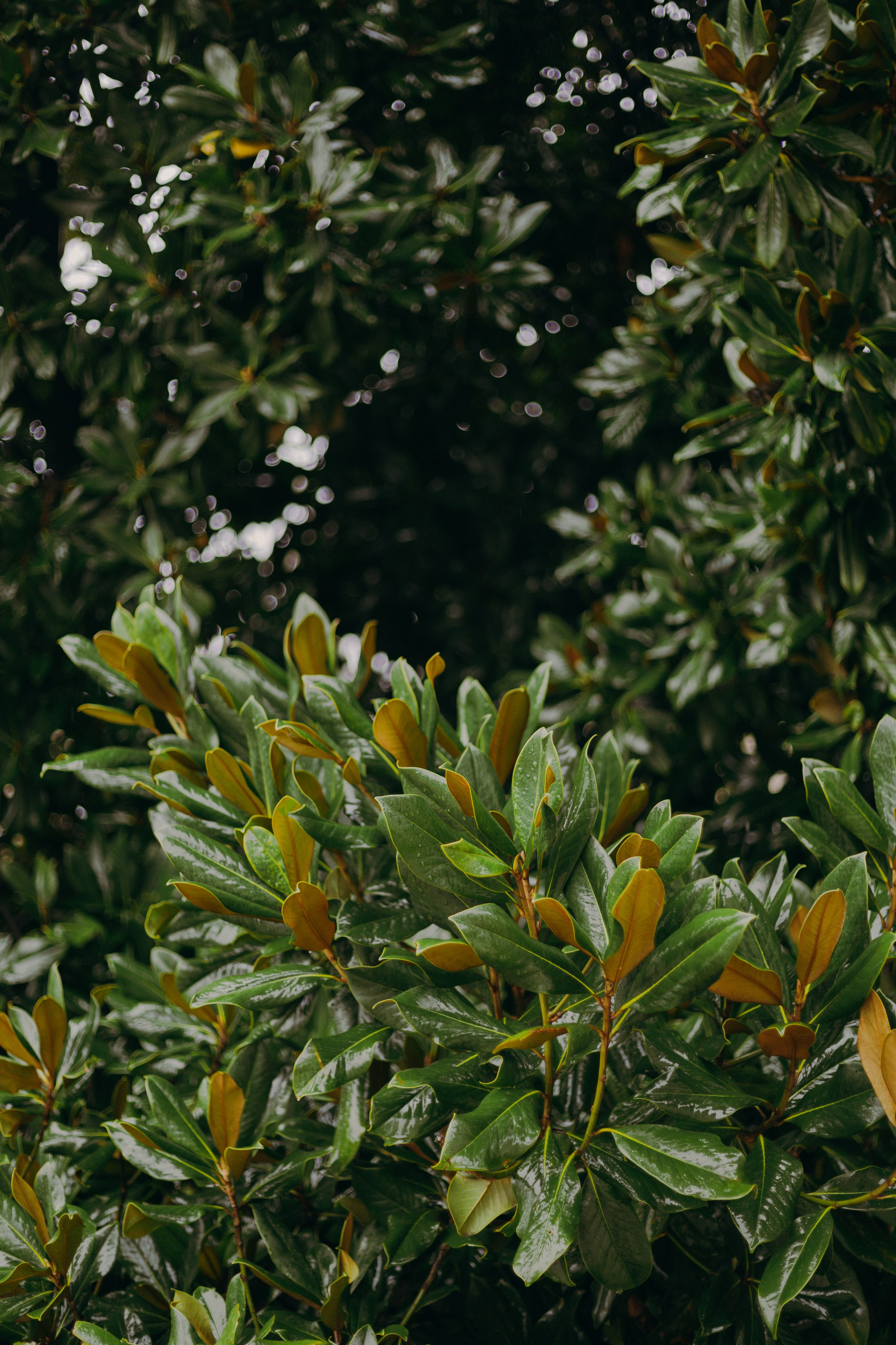 Стамбул. Профессиональный Фотограф во Владимире, в Москве и в Суздале — Полина Романычева