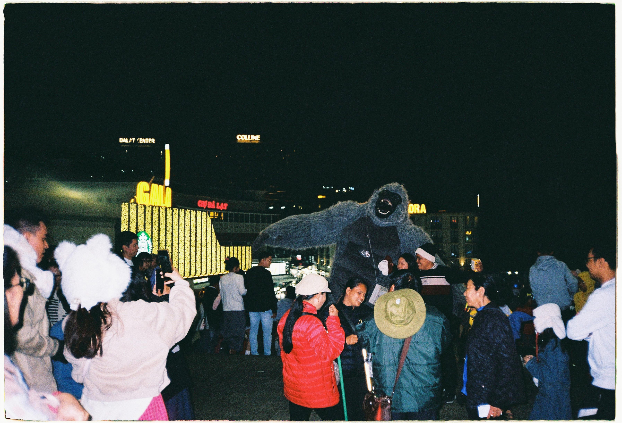 Dalat 2024. Film Photographer in Da Nang, Vietnam — Tanya Parfenteva