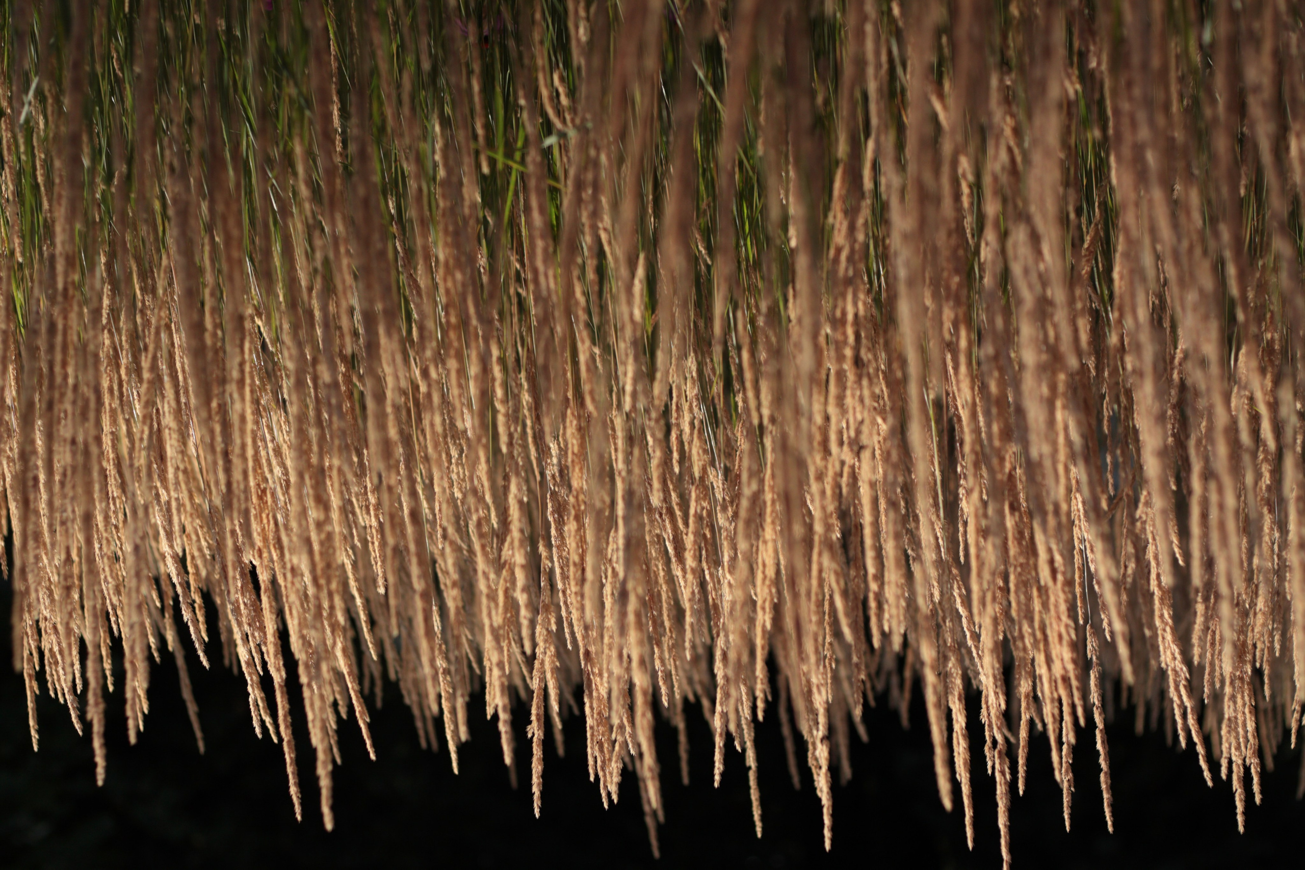 Старое природное, отбирала Katamount (Катерина Горохова). Главная