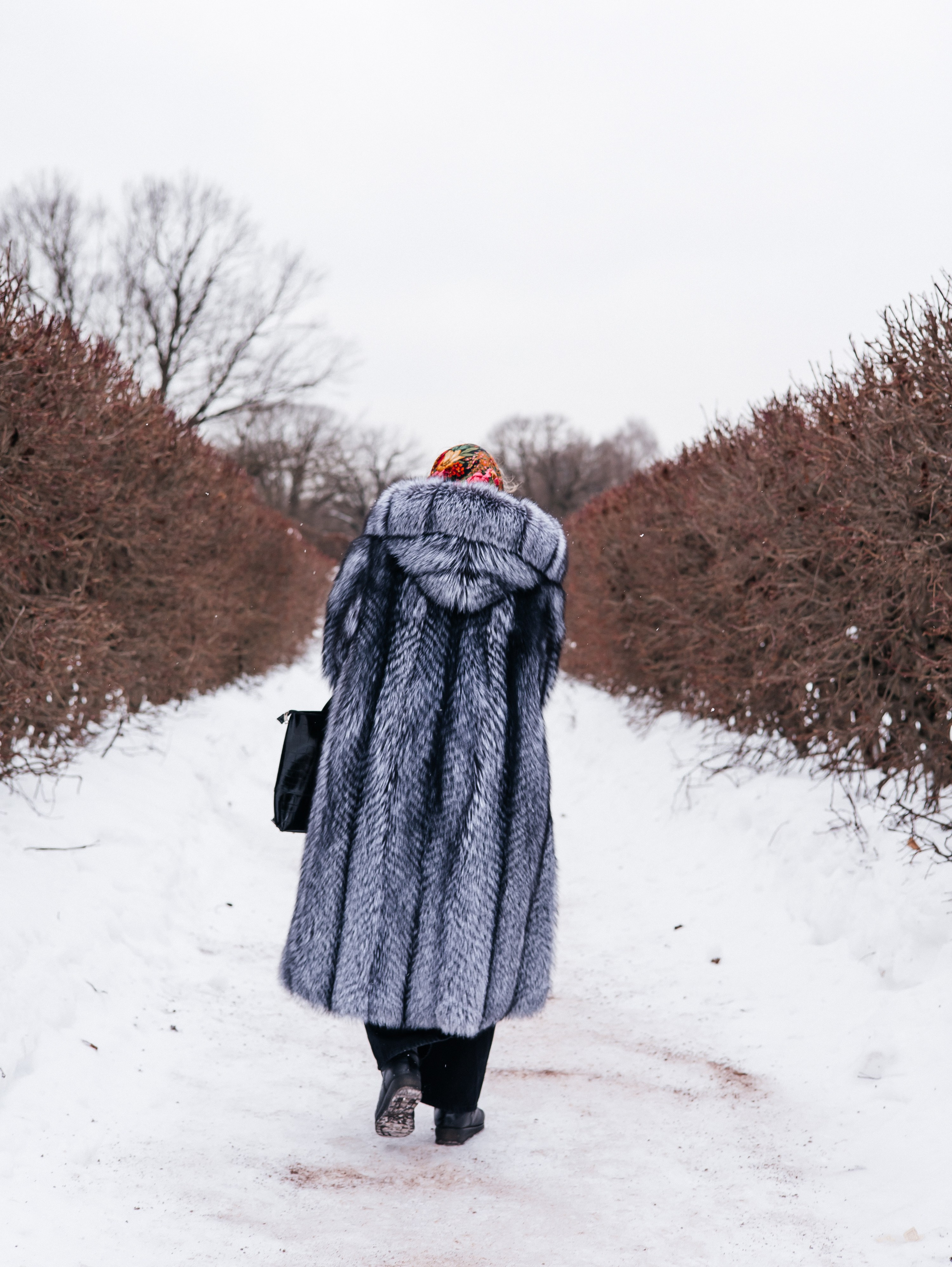 Фотоотчет с экскурсии в музей-заповедник «Кусково». Свадебный и репортажный фотограф в Москве