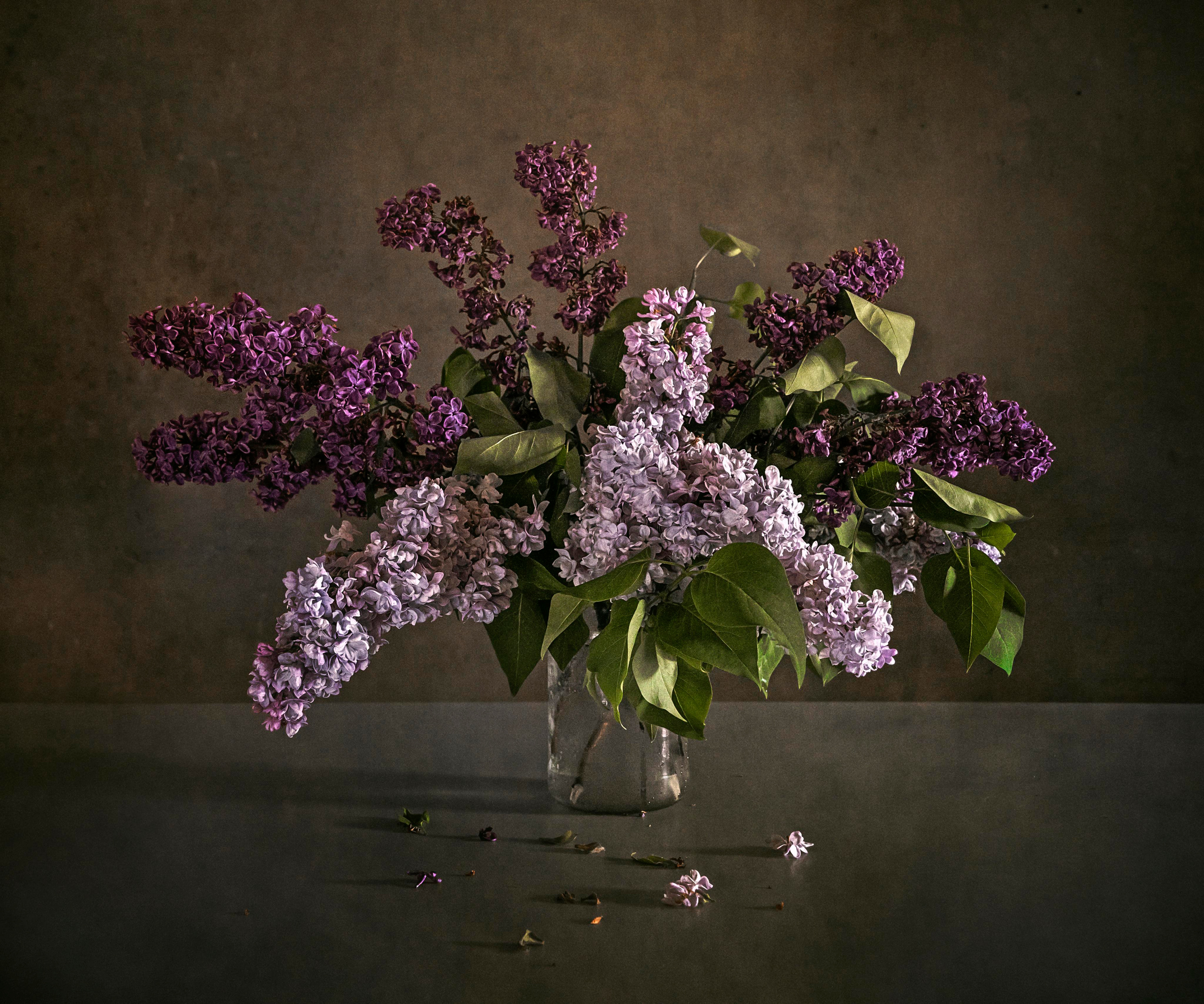 Натюрморты. Сказочная галерея Юлии Горбуновой