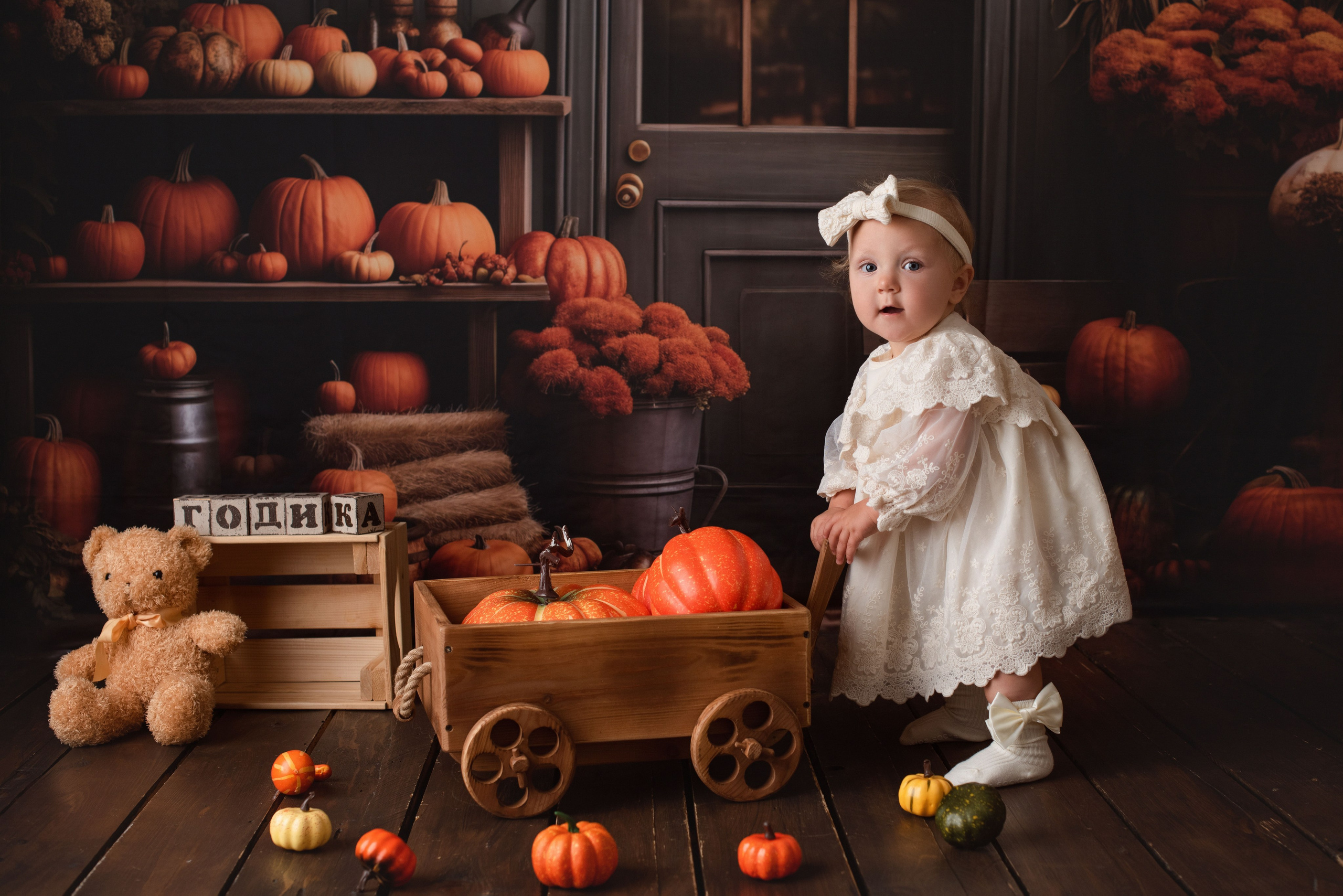 Фотограф Новорожденных во Владивостоке Ольга Галаницкая