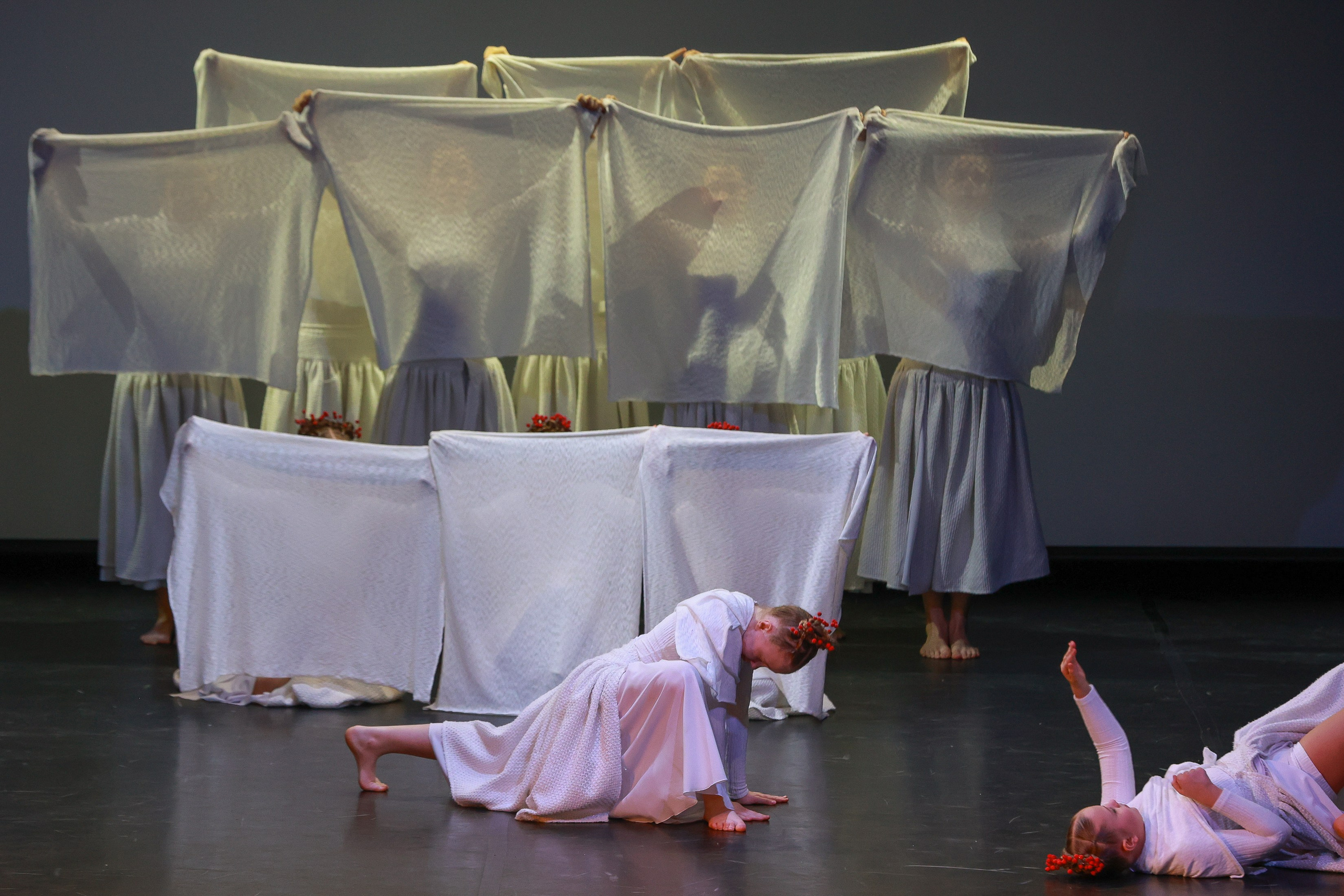 Небесные ласточки на Танц ЭКСПО 2026. Фотограф Юлия Мальцева