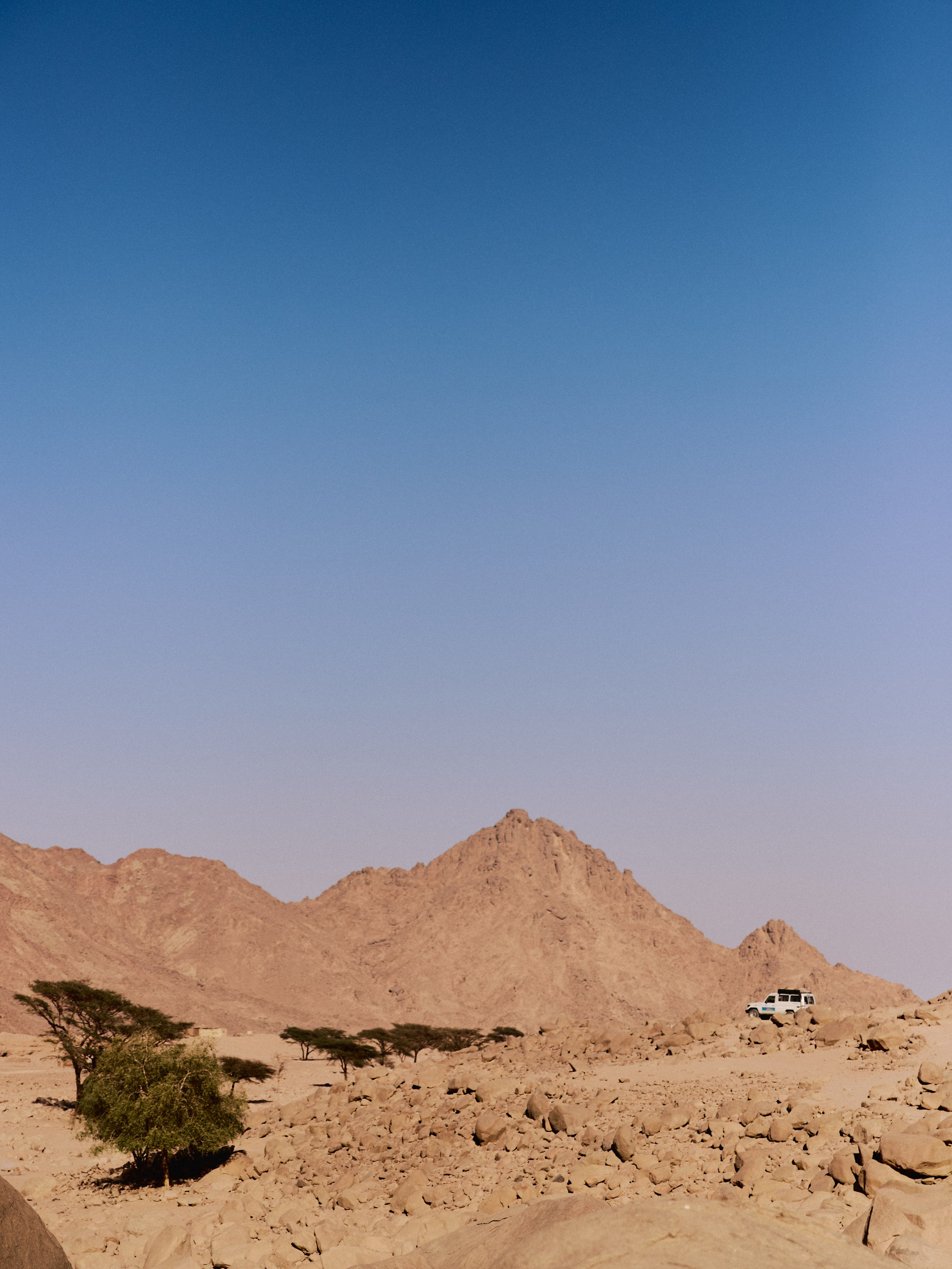 Природа сквозь. Jorgis Talè — photographer, kind person, teacher of arts and other mag