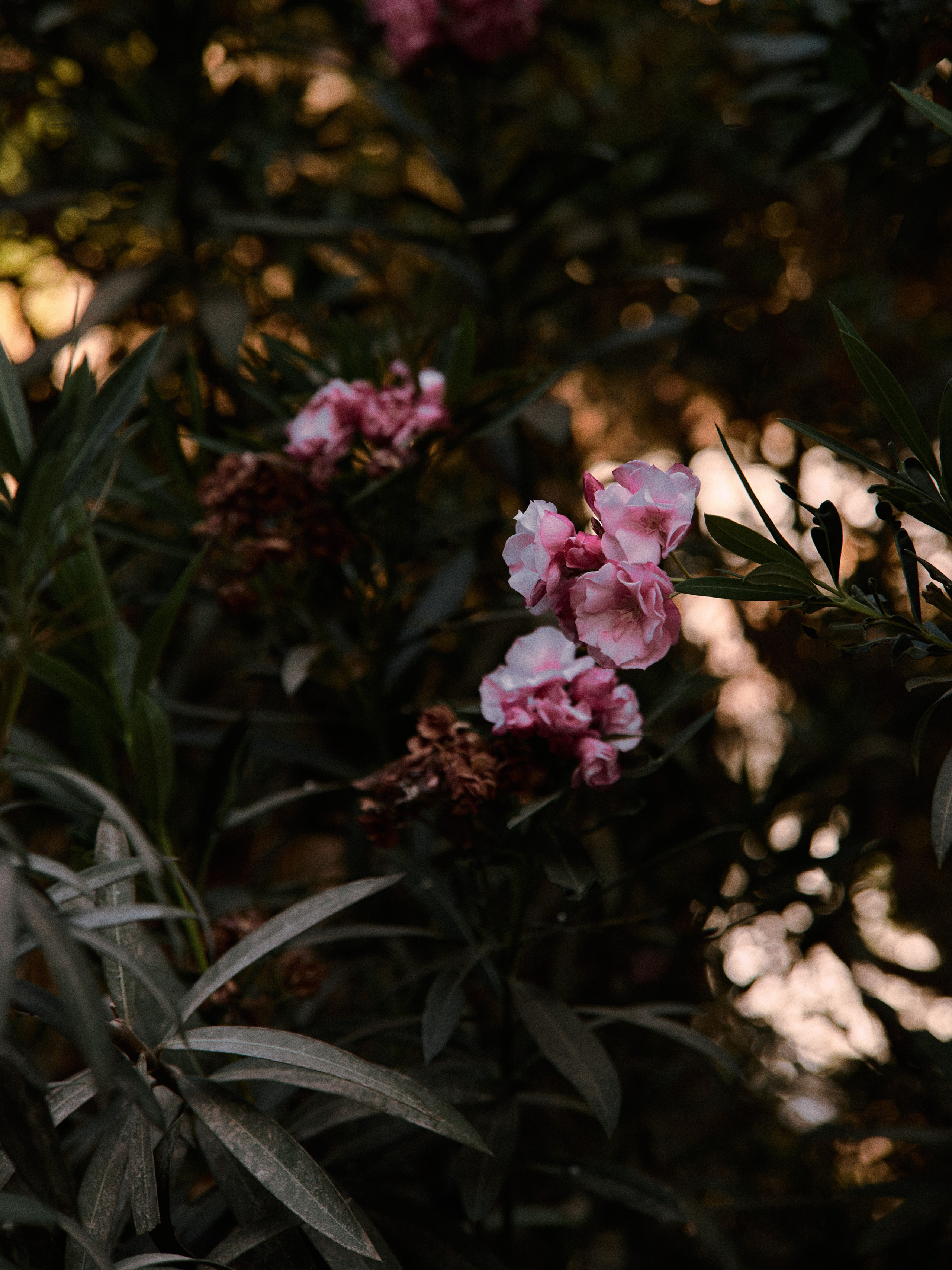 Природа. Jorgis Talè — photographer, kind person, teacher of arts and other mag