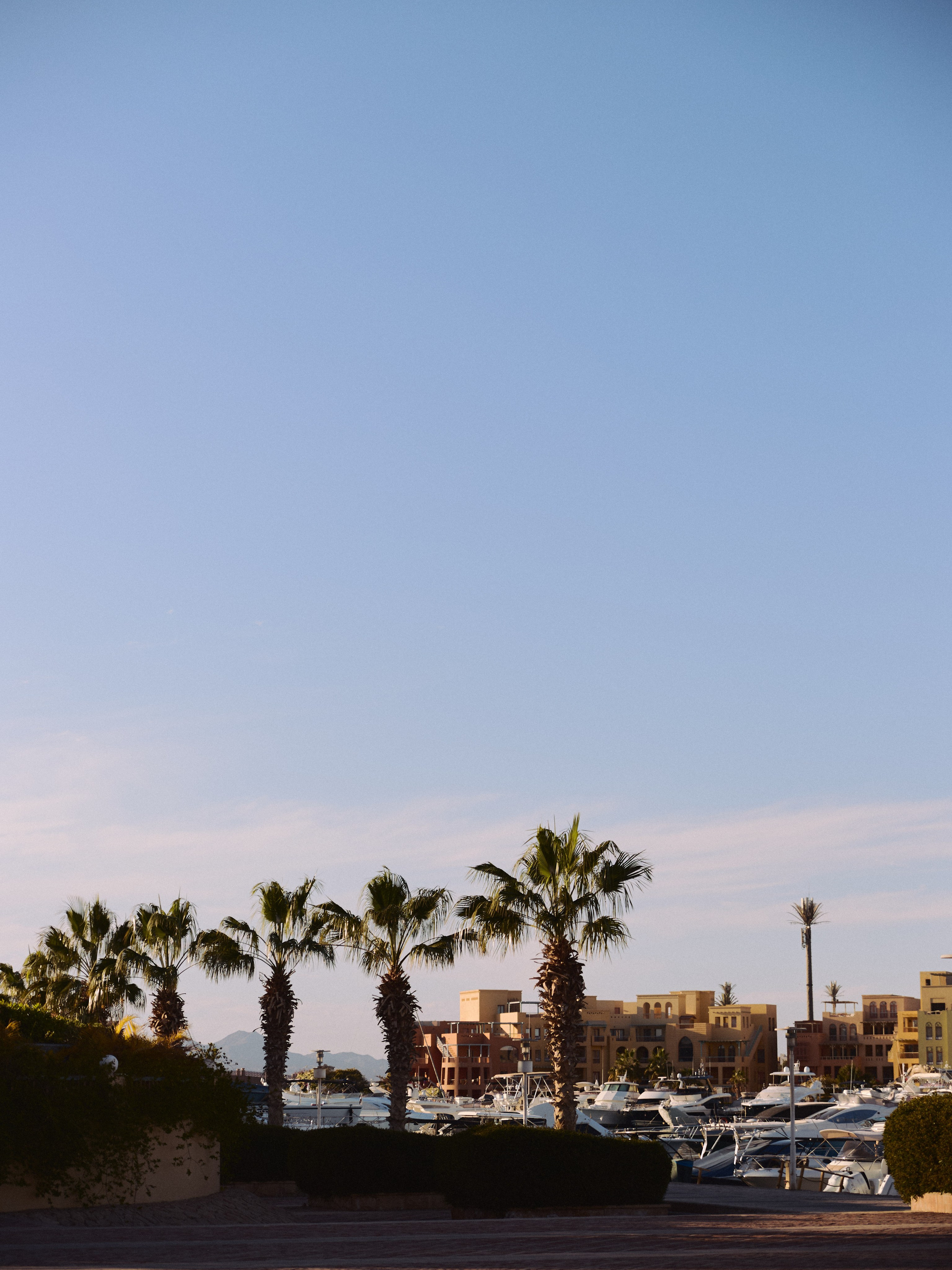 ¼. Jorgis Talè — photographer, kind person, teacher of arts and other mag