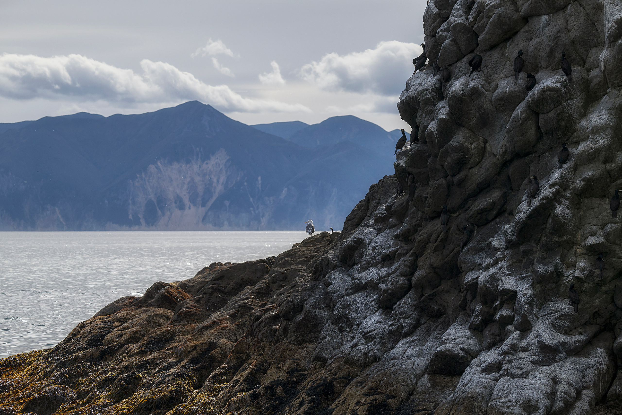 Камчатка. Портретный фотограф в Челябинске Катерина Руди