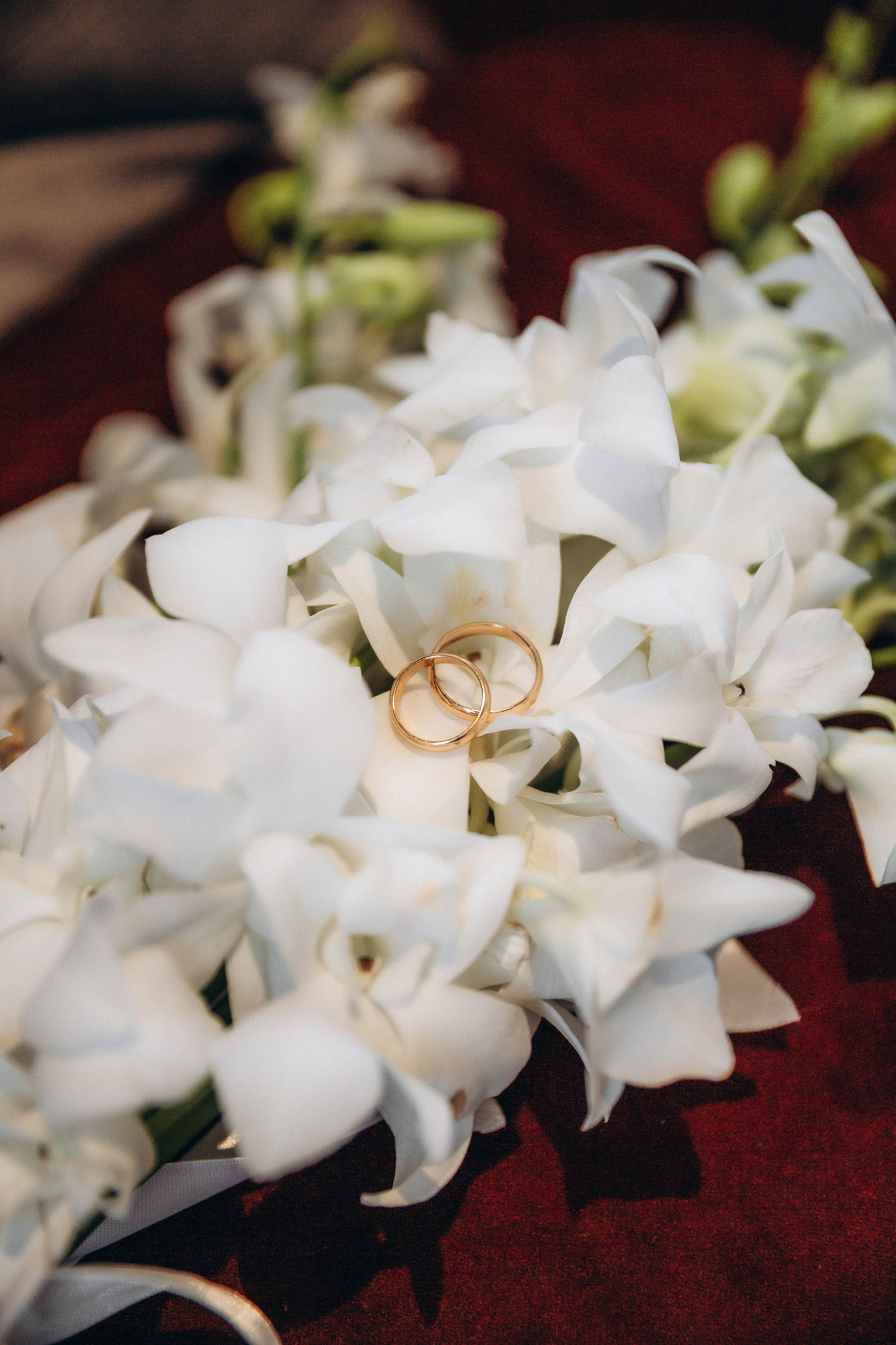 Сборы. Анастасия и Кирилл. Katerina Schastlivaya