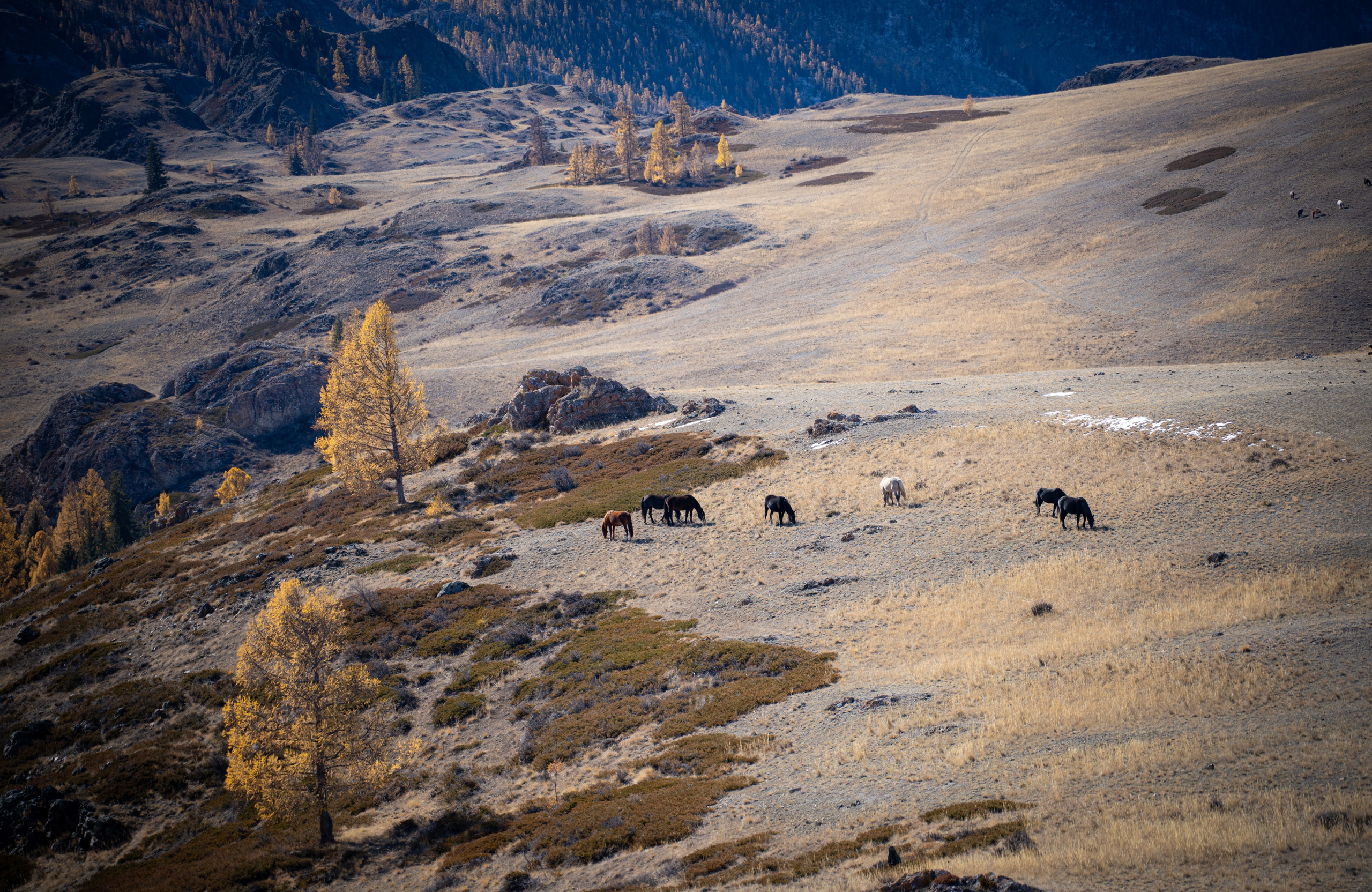 Чуйский тракт. Фотографии Тиграна Худавердяна