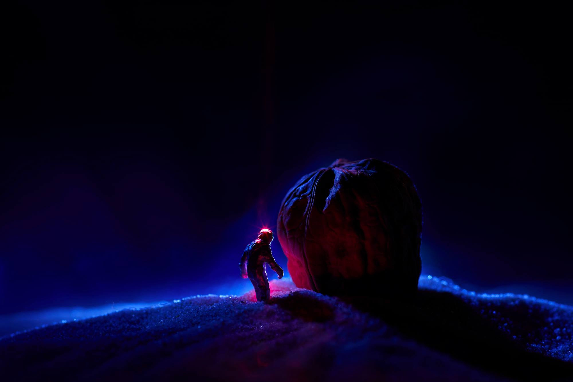 Макро. Профессиональная фотосъемка для бизнеса и личного бренда в Москве