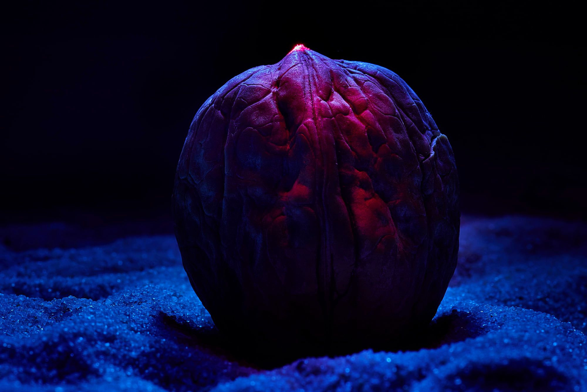 Макро. Профессиональная фотосъемка для бизнеса и личного бренда в Москве