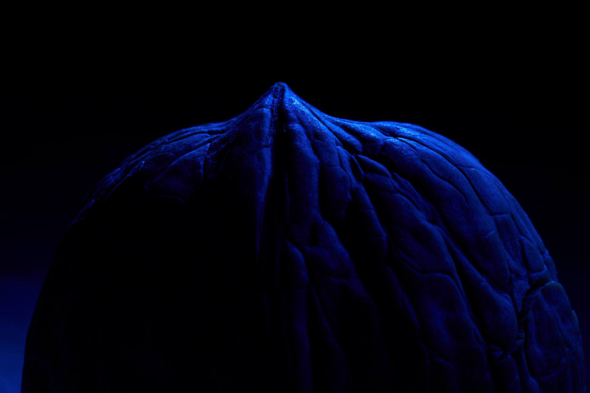 Макро. Профессиональная фотосъемка для бизнеса и личного бренда в Москве