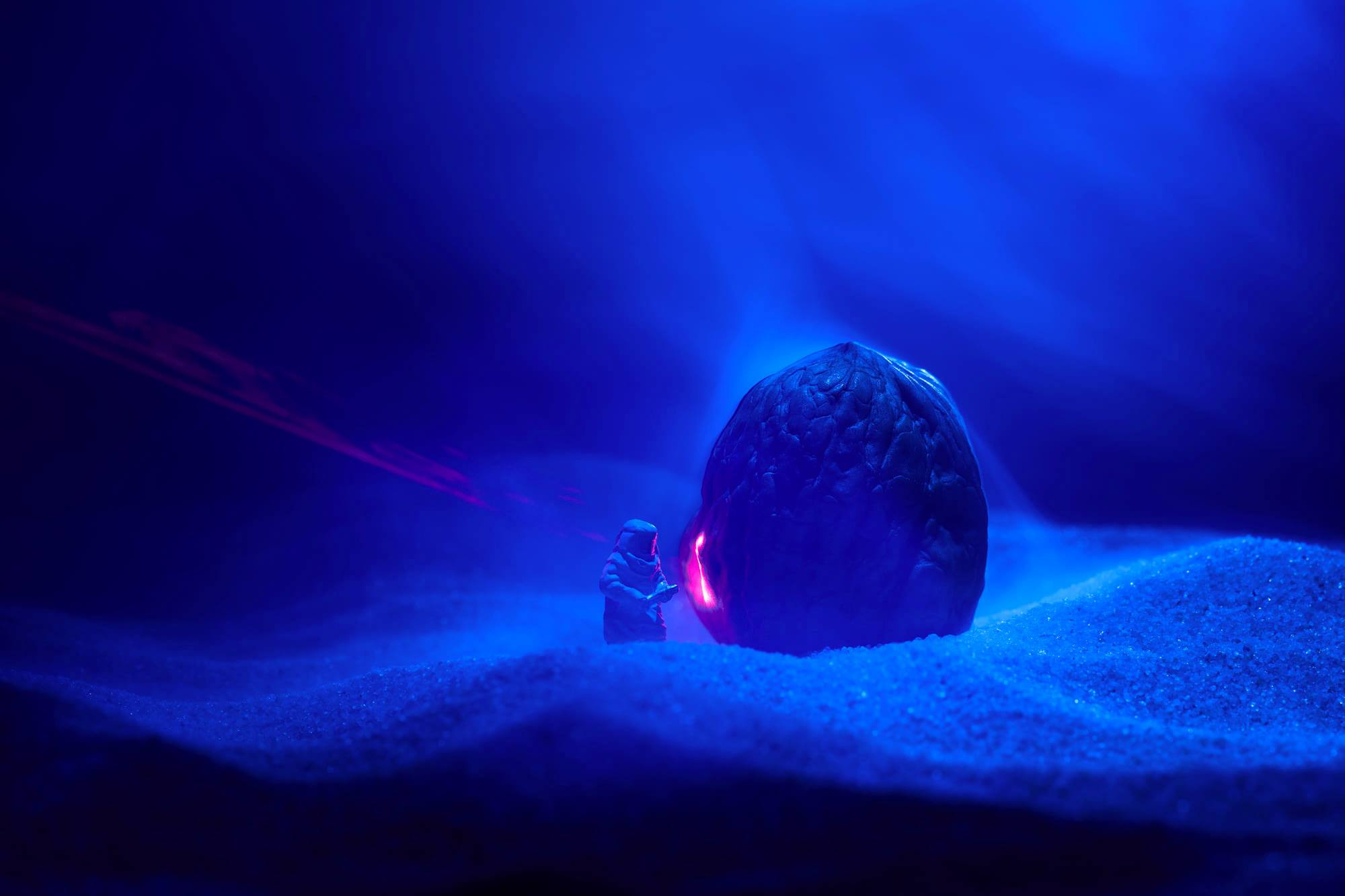 Макро. Профессиональная фотосъемка для бизнеса и личного бренда в Москве