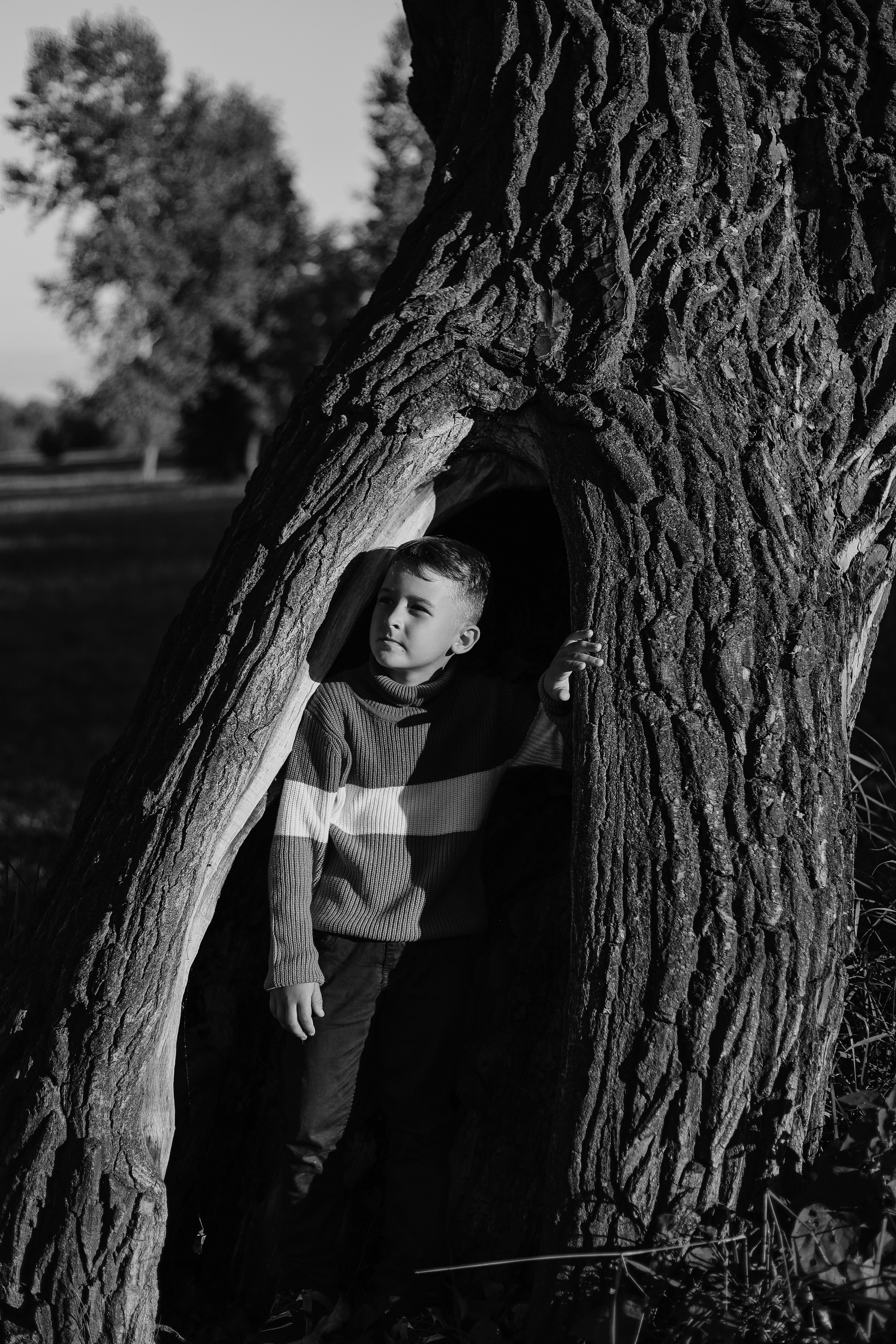 Осень в парке. СЕМЕЙНЫЙ ФОТОГРАФ КРАСНОЯРСК, ЖЕЛЕЗНОГОРСК