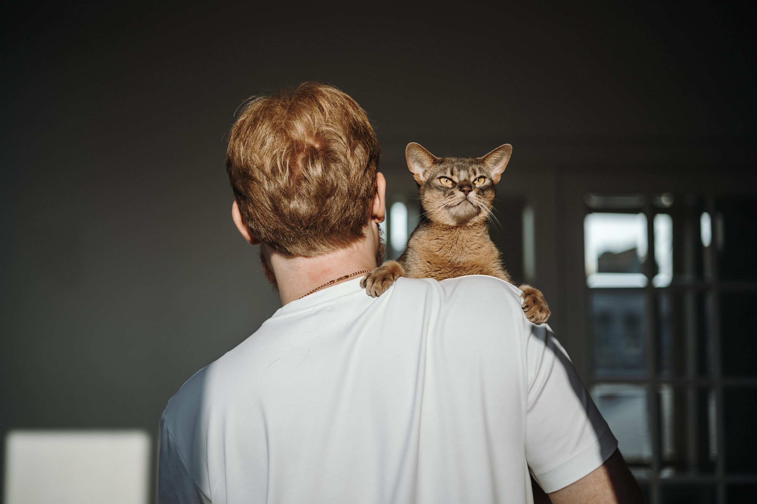 Циско и его семья. Фотограф — Анималист | Санкт-Петербург