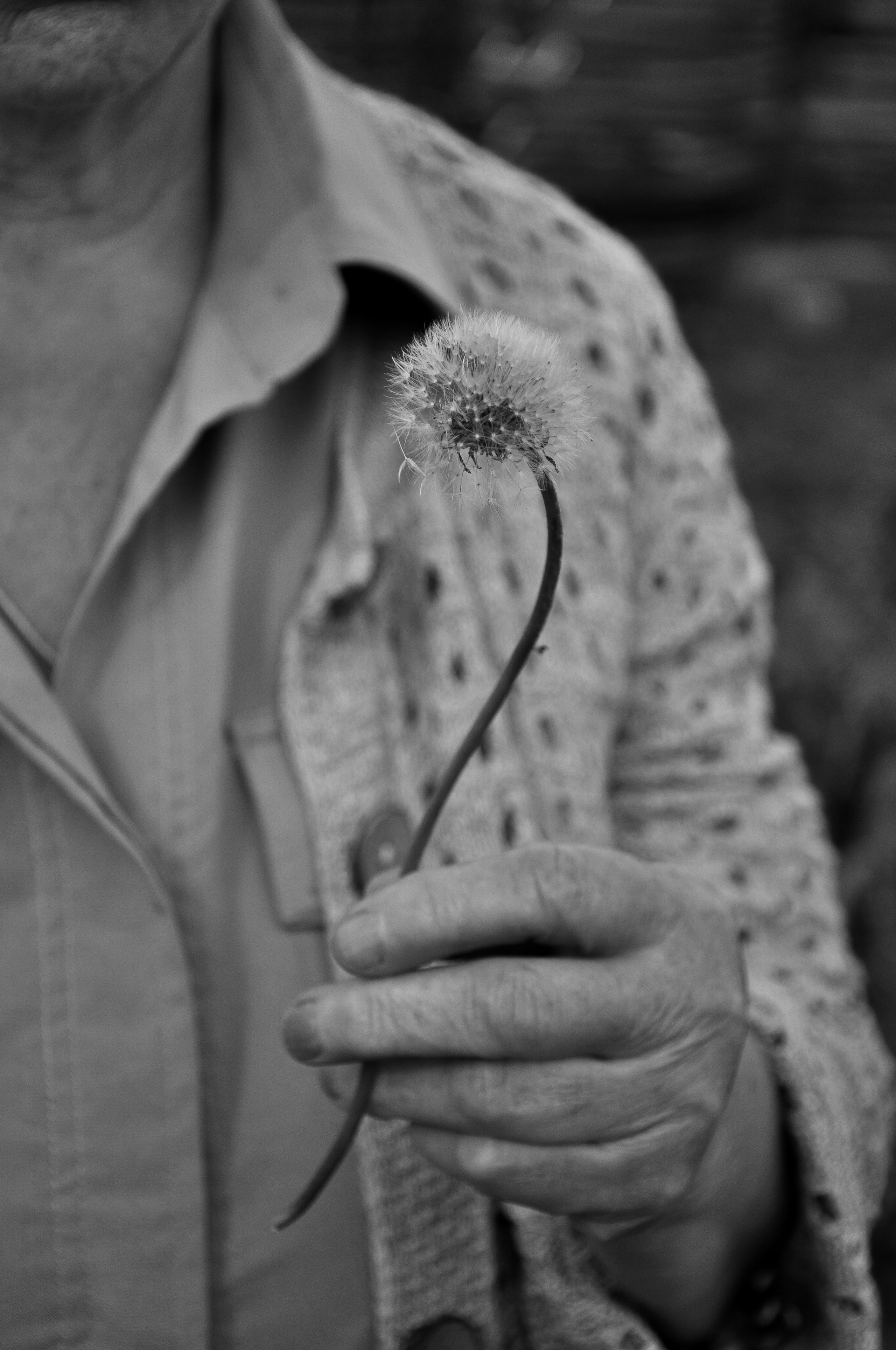 Babushka. DINA MOREVA photography