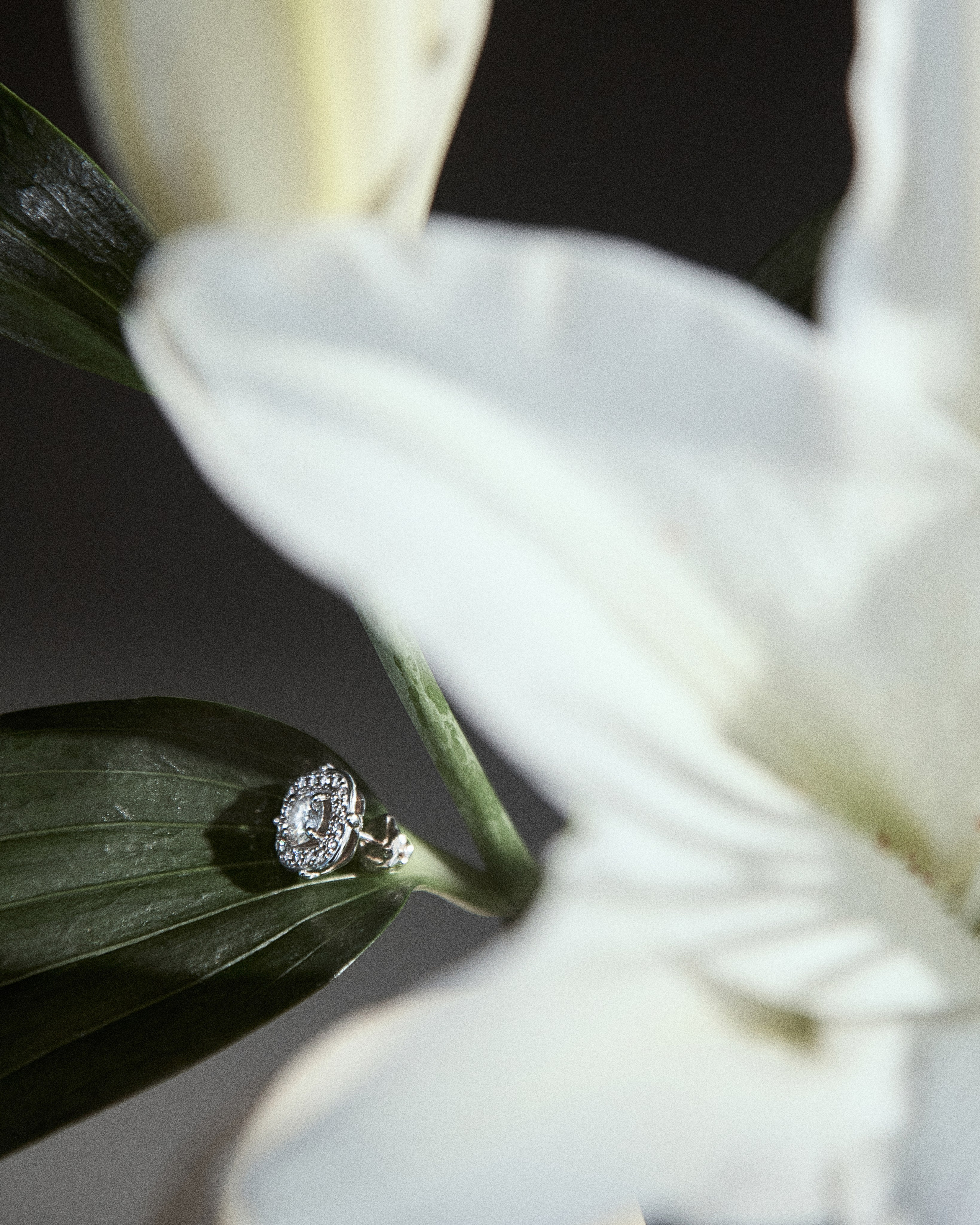 Ahahah jewerly. Фотограф Евгений Котляров