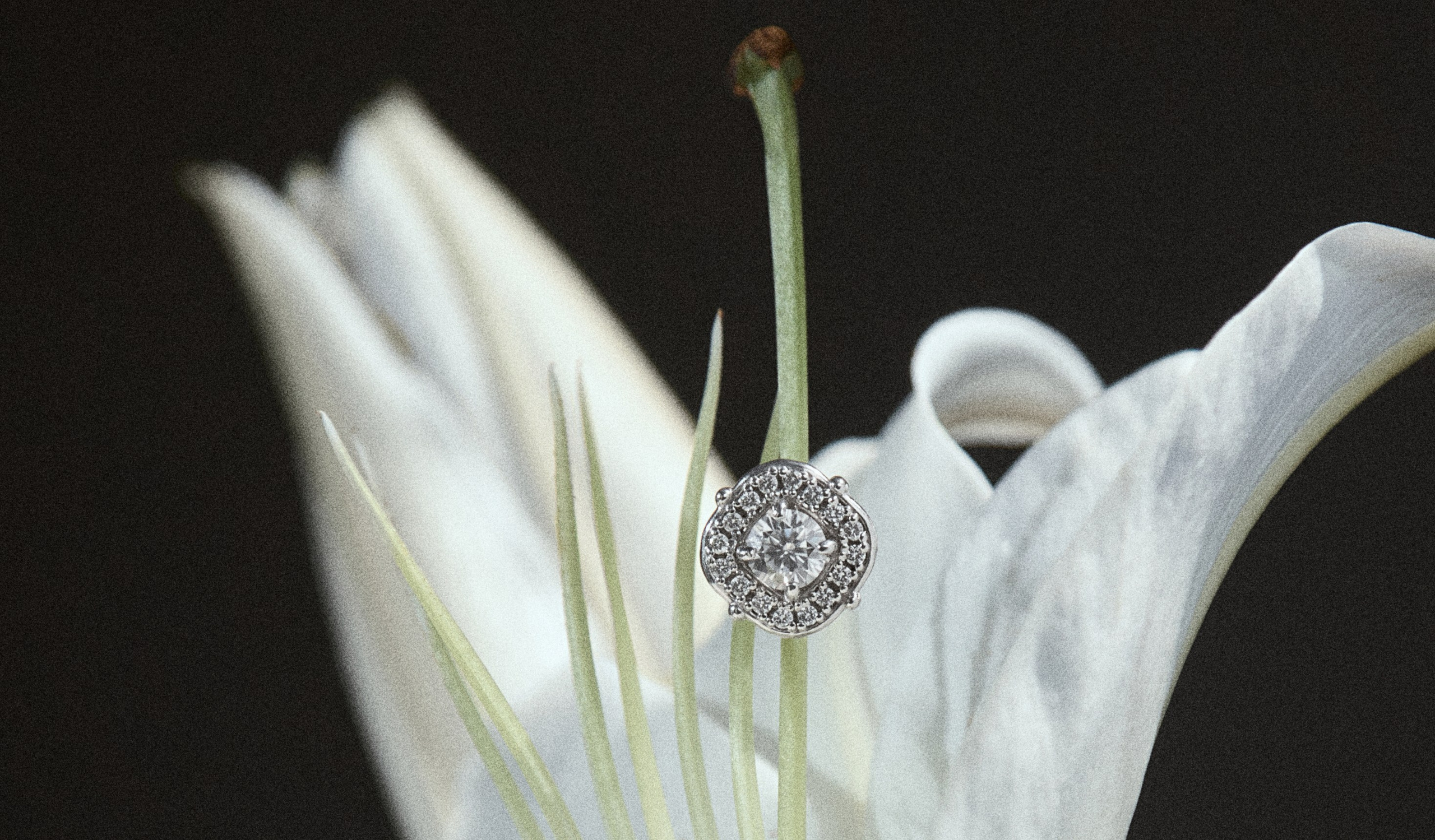 Ahahah jewerly. Фотограф Евгений Котляров