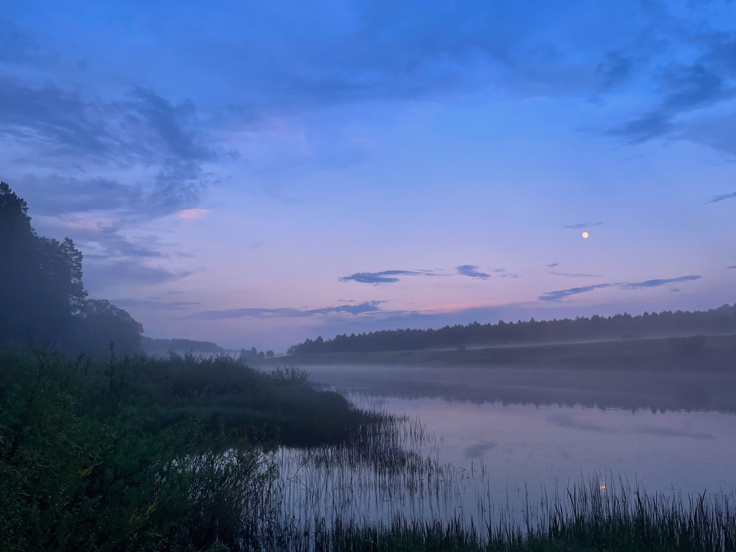 На берегу Угры. Конец мая 2024 года. Фотограф Никифоров-Гордеев Сергей. Москва и МО