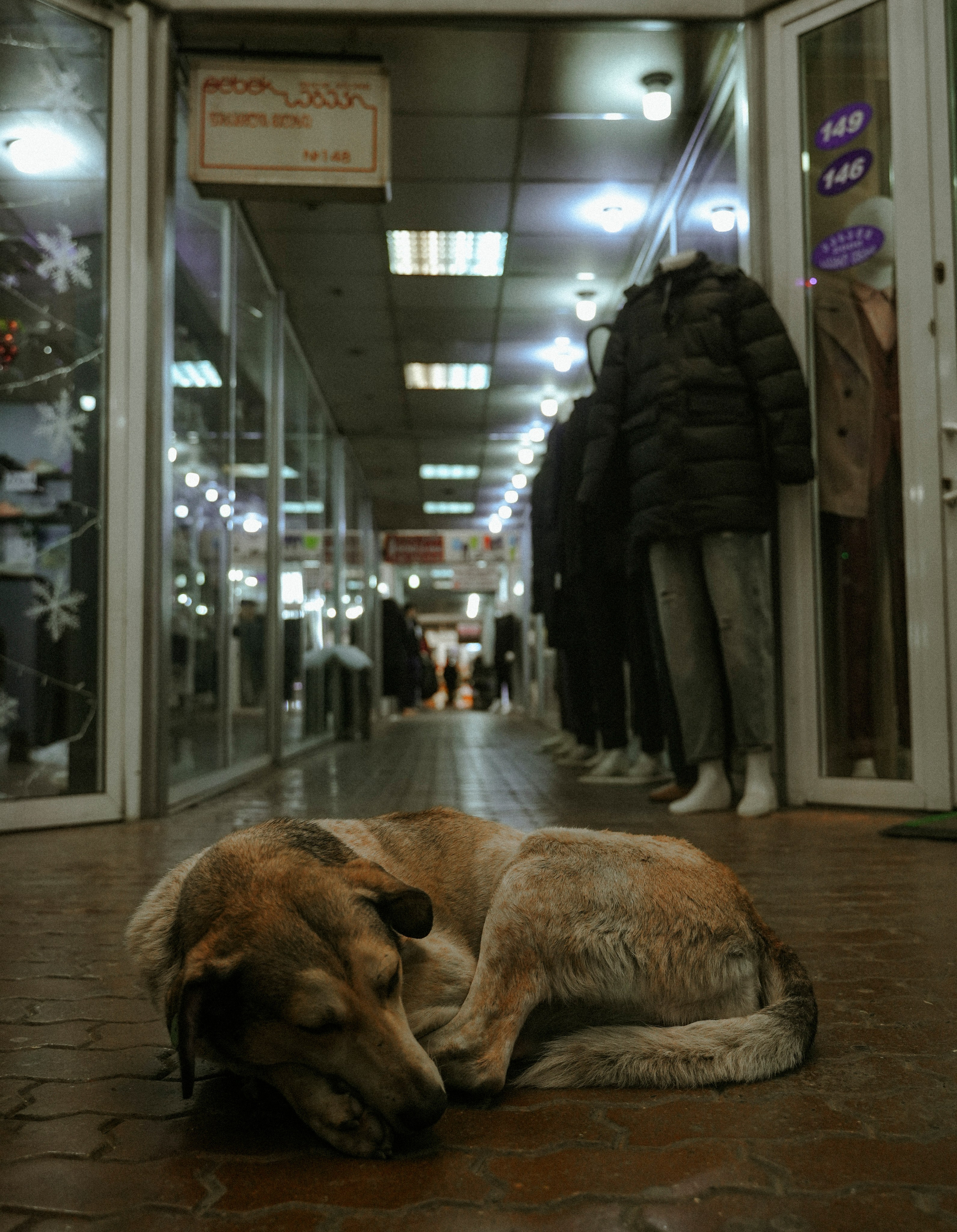 ТБИЛИСИ 2023-2024. Стрит-фотография, полная абсурда, идиотизма и красоты