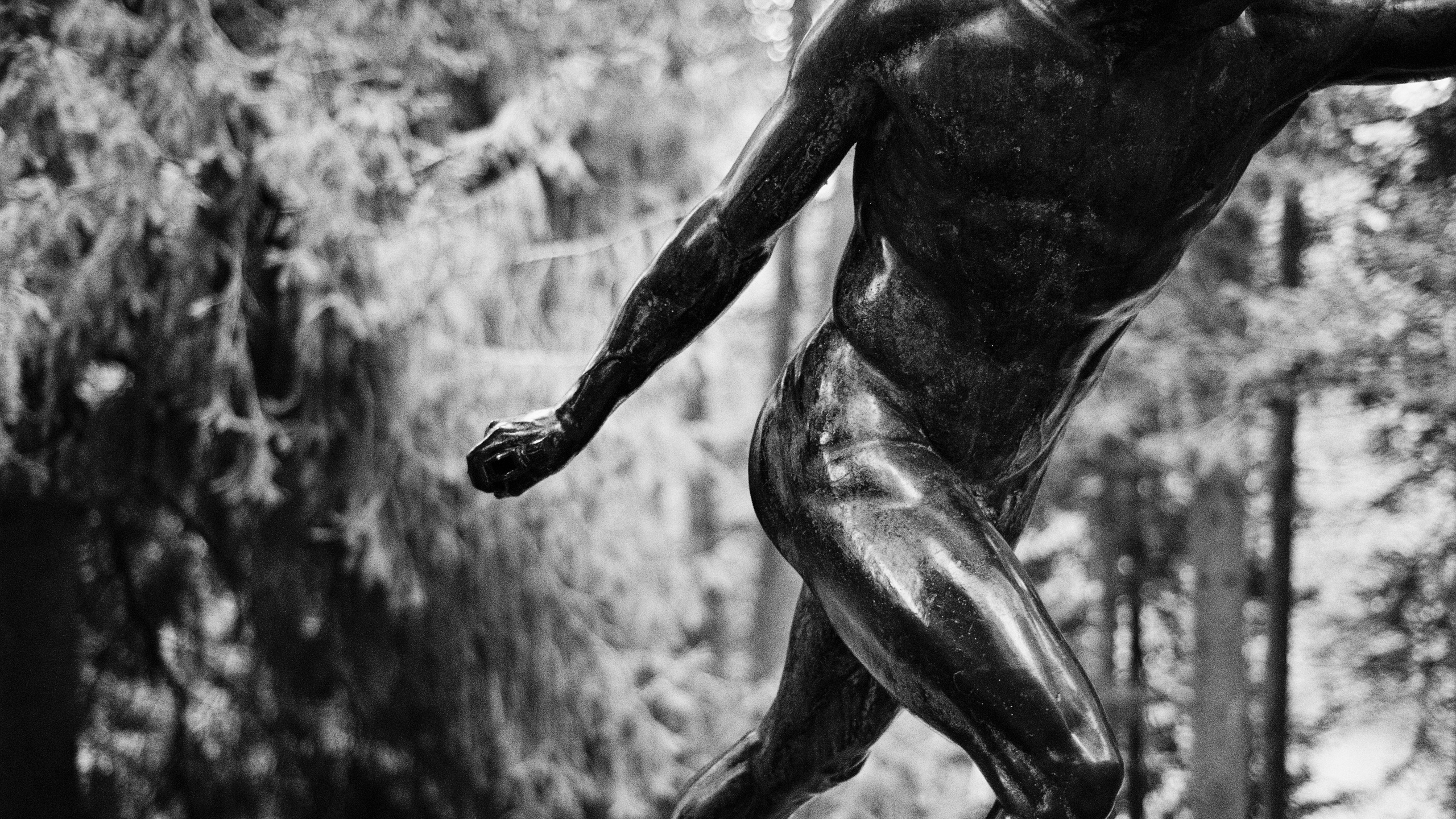 Осенью 2025. ФОТОМЕТАОХОТА