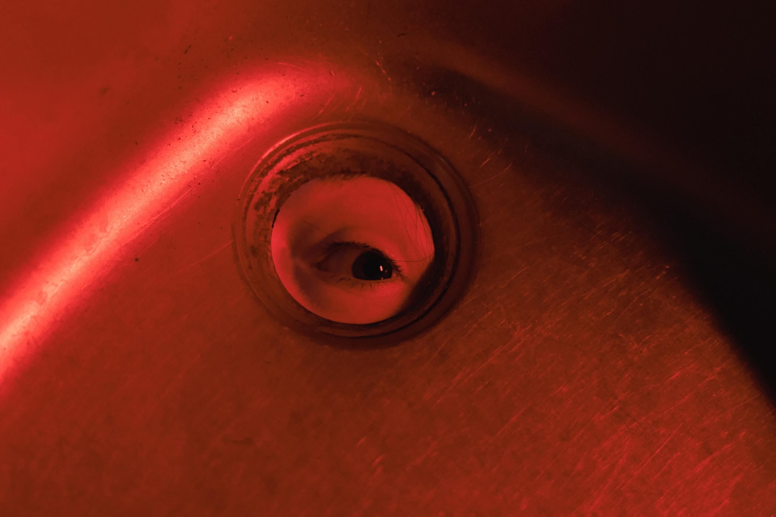 Розовый от Цветных (4 ноября 2023). Ивентный фотограф в Санкт-Петербурге Олег Комков