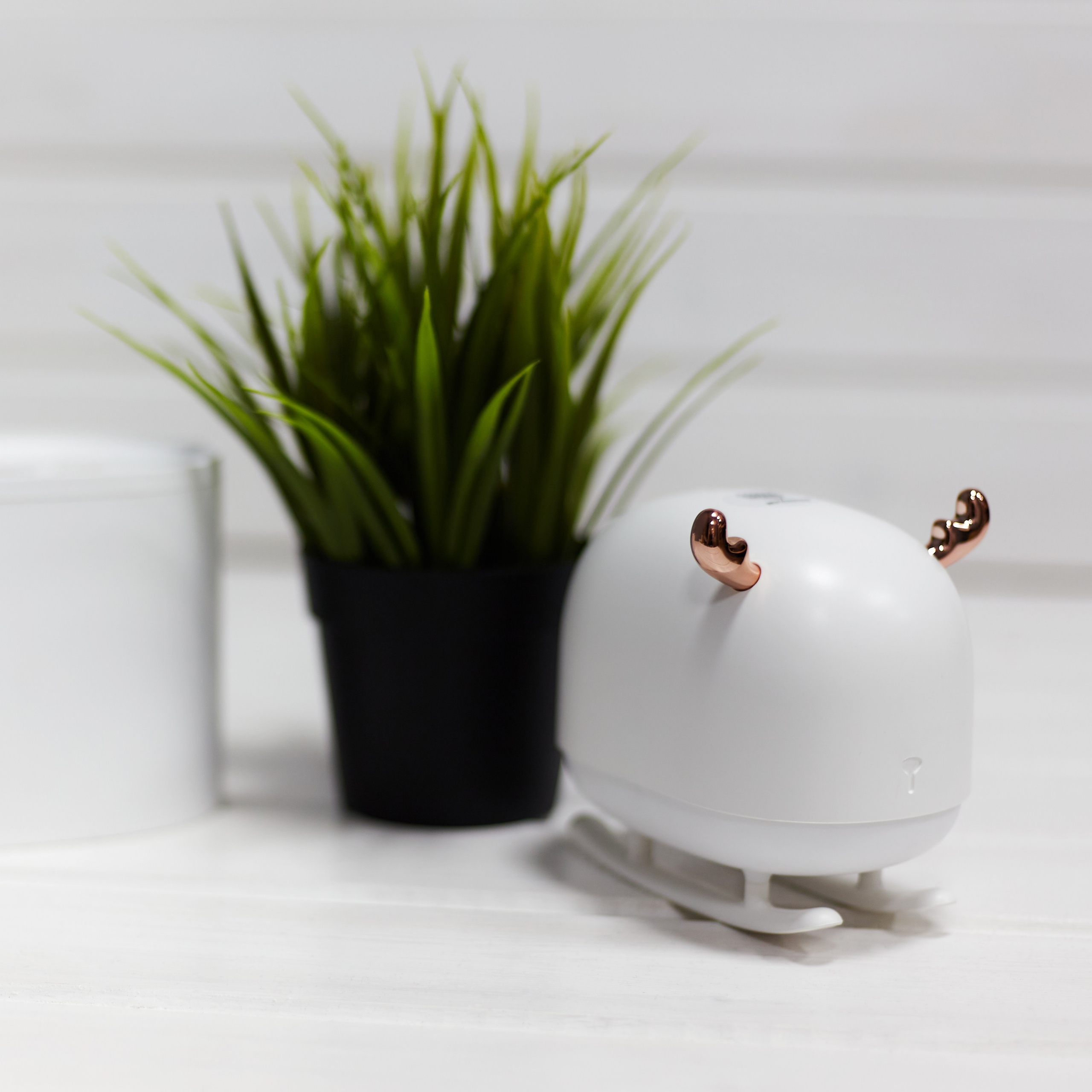 Фотосъемка для шоурума «Свет, Дом + Гаджеты», Красноярск. Интерьерный фотограф и ретушер в Красноярске Денис Антропов