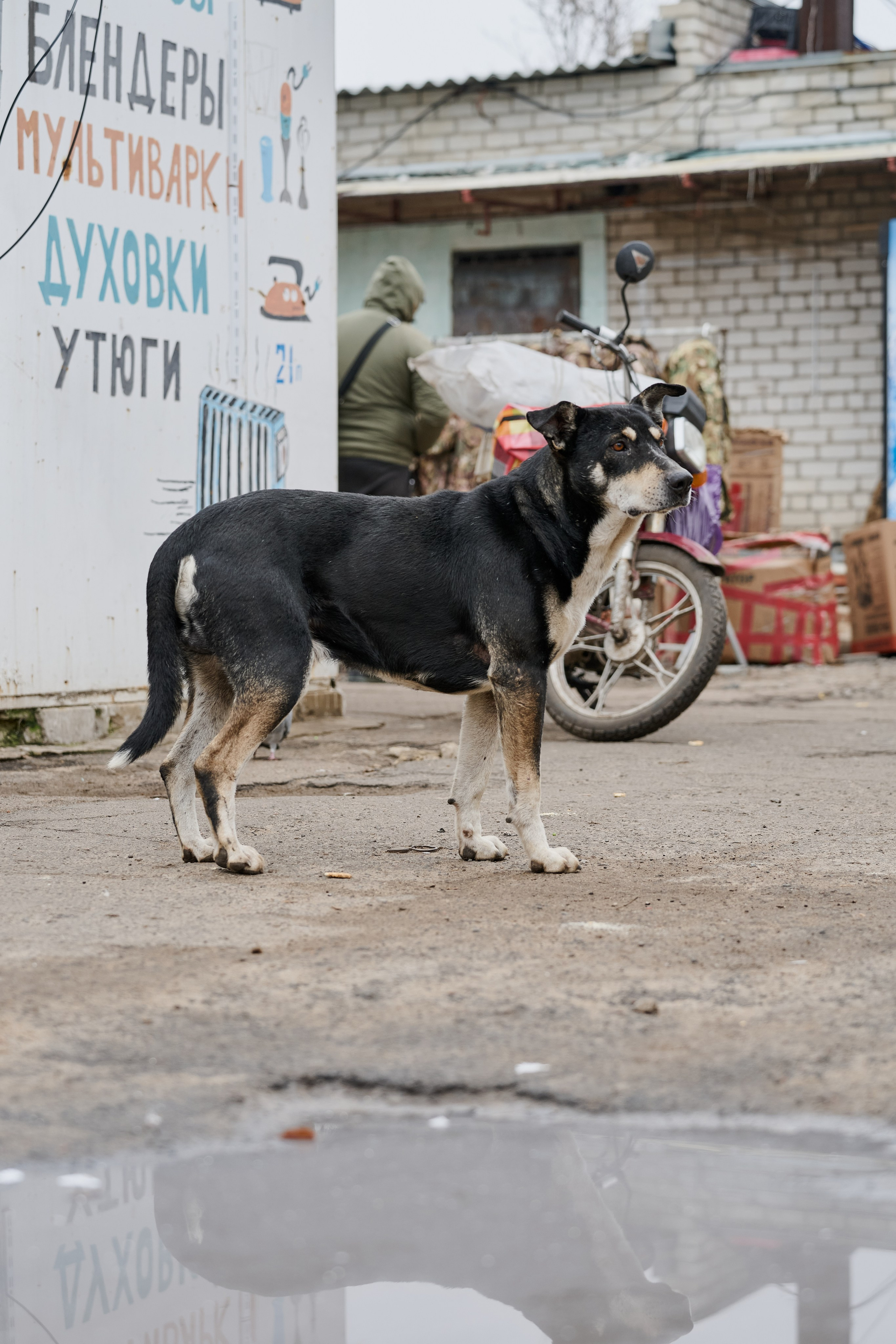 Рубежное. Луганская область. Фотопроект «Территории»