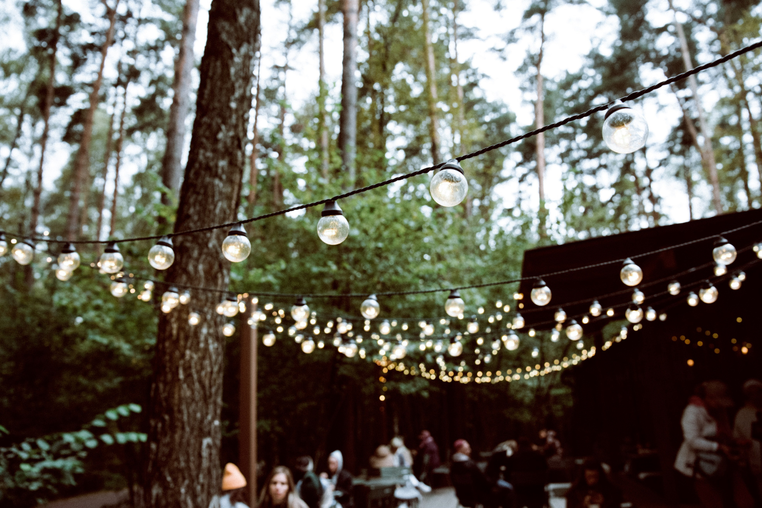 Осень 2025. Фотограф из Москвы — DASHA NOVA | Авторская фотография в разных жанрах