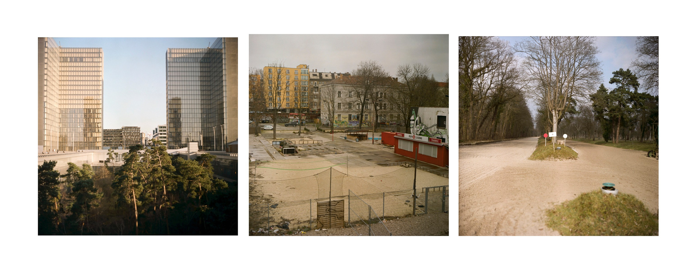 Tor. Katya Zimina, film photographer