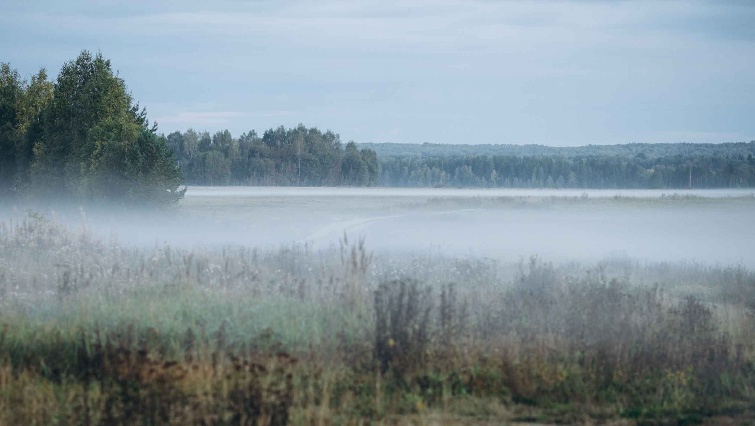 Природные пейзажи. Наталия Клевинскас портретный фотограф в Костроме
