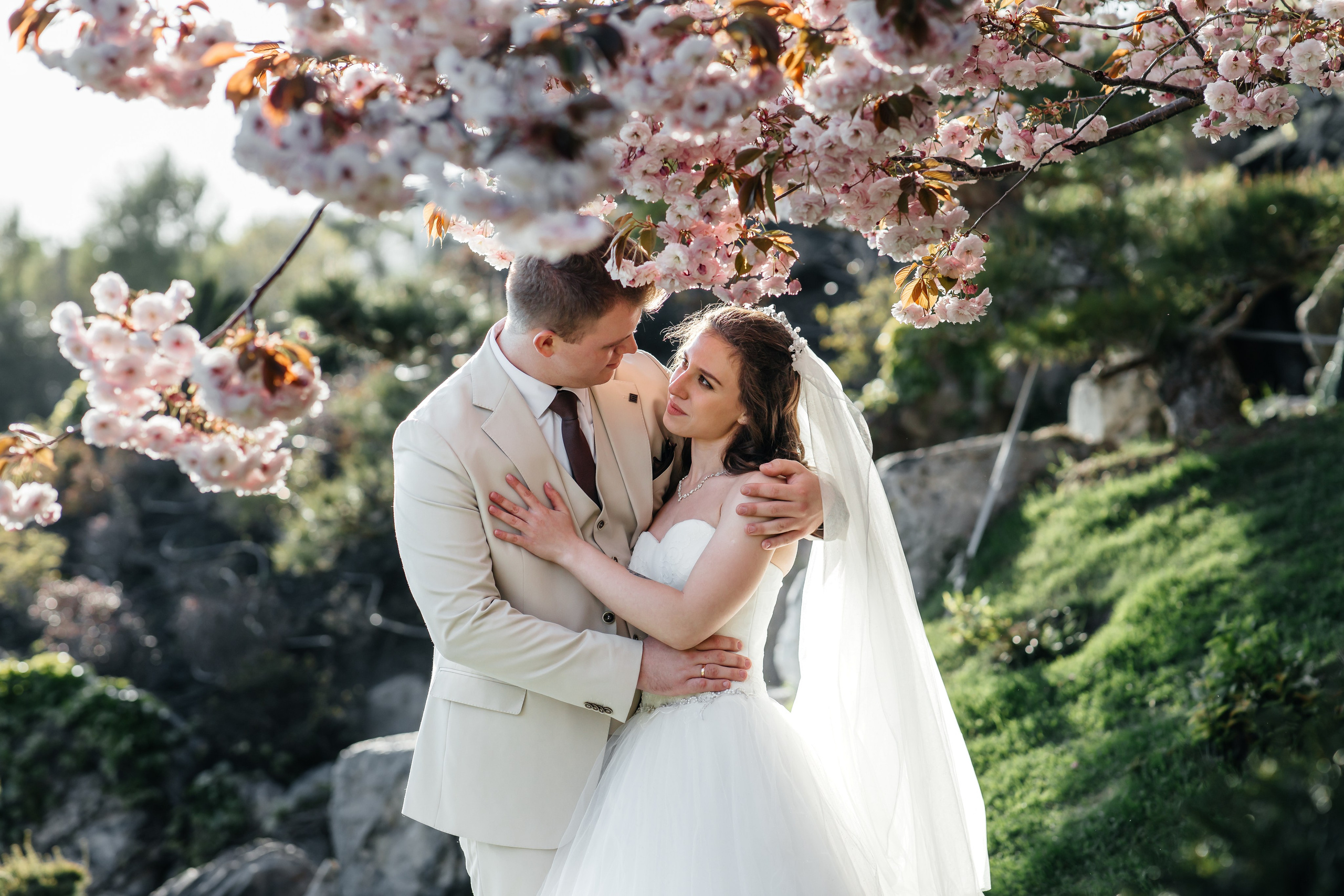 Сакура в Японском саду. Анонс свадьбы для Никиты и Марины. Свадебный фотограф в Крыму и Севастополе Ольга Баскакова