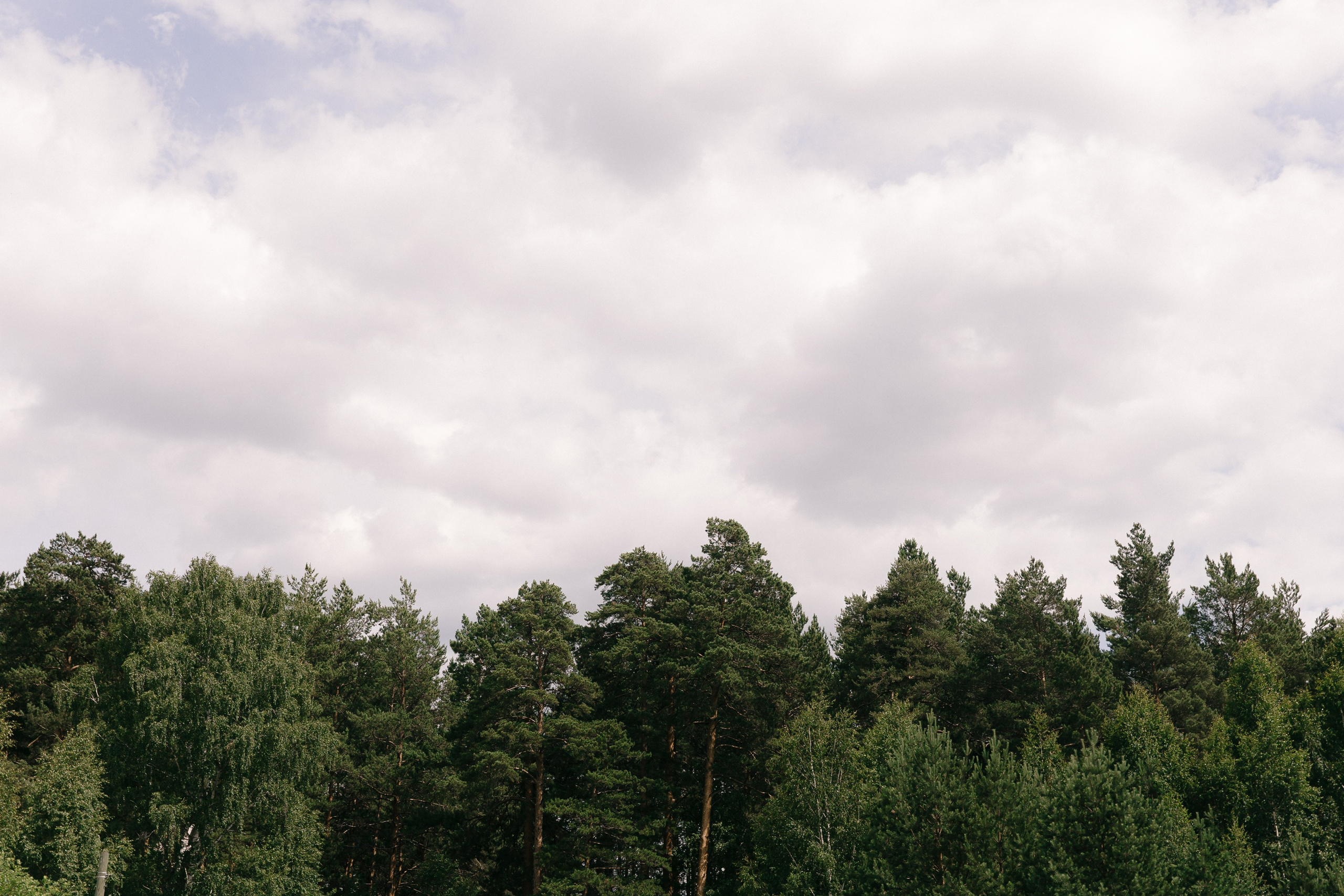 Tears love and real emotions. Свадебный фотограф Екатеринбург Алексей Ладыгин