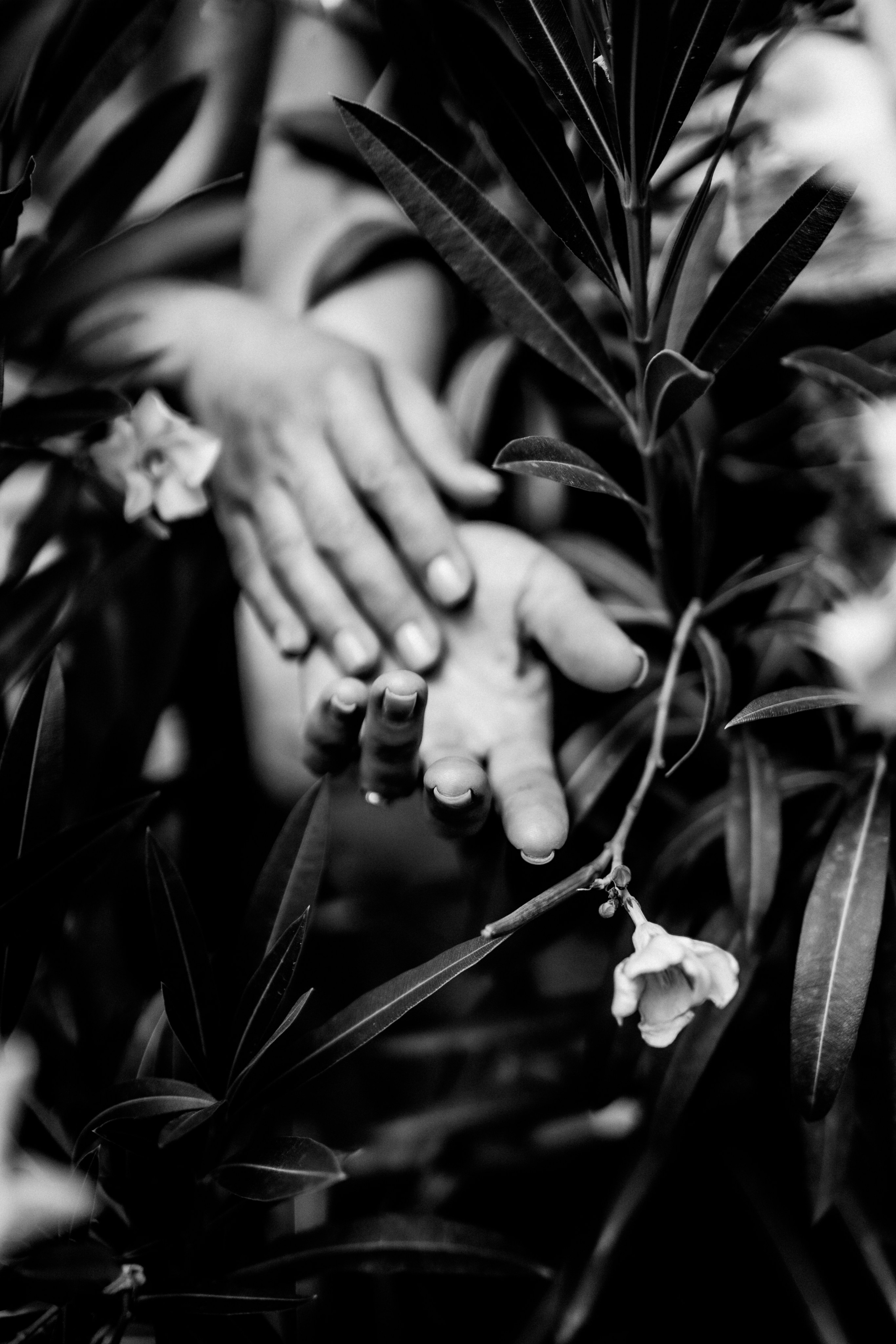 Саида. Фотограф в Москве и МО Влада Обласова