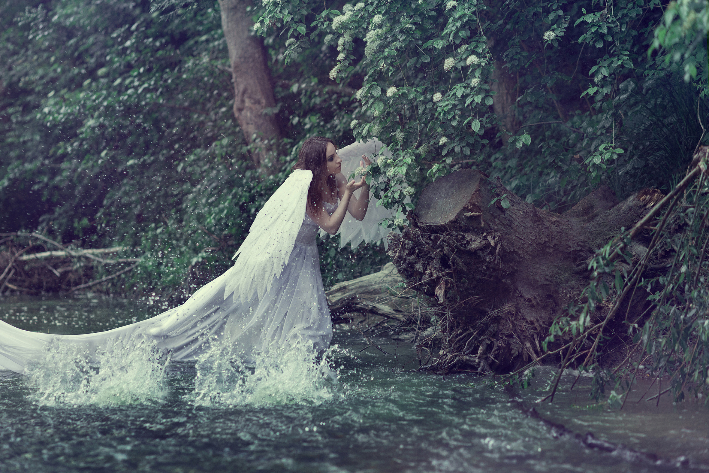 Вдохновение. Профессиональный фотограф в Краснодаре Татьяна Корченкина