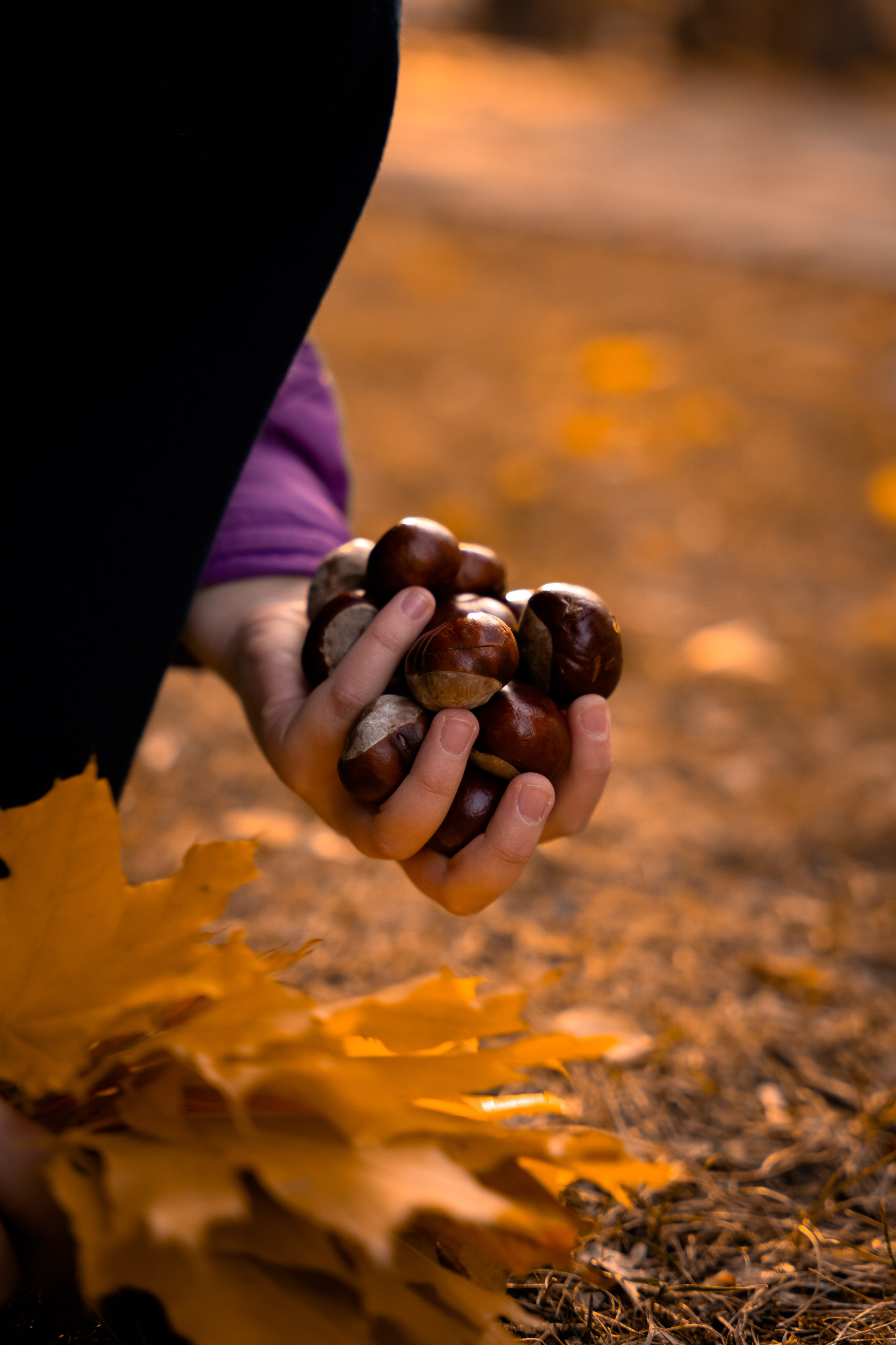 Катя и Вася. Фотограф в Ульяновске Александра Григоровских