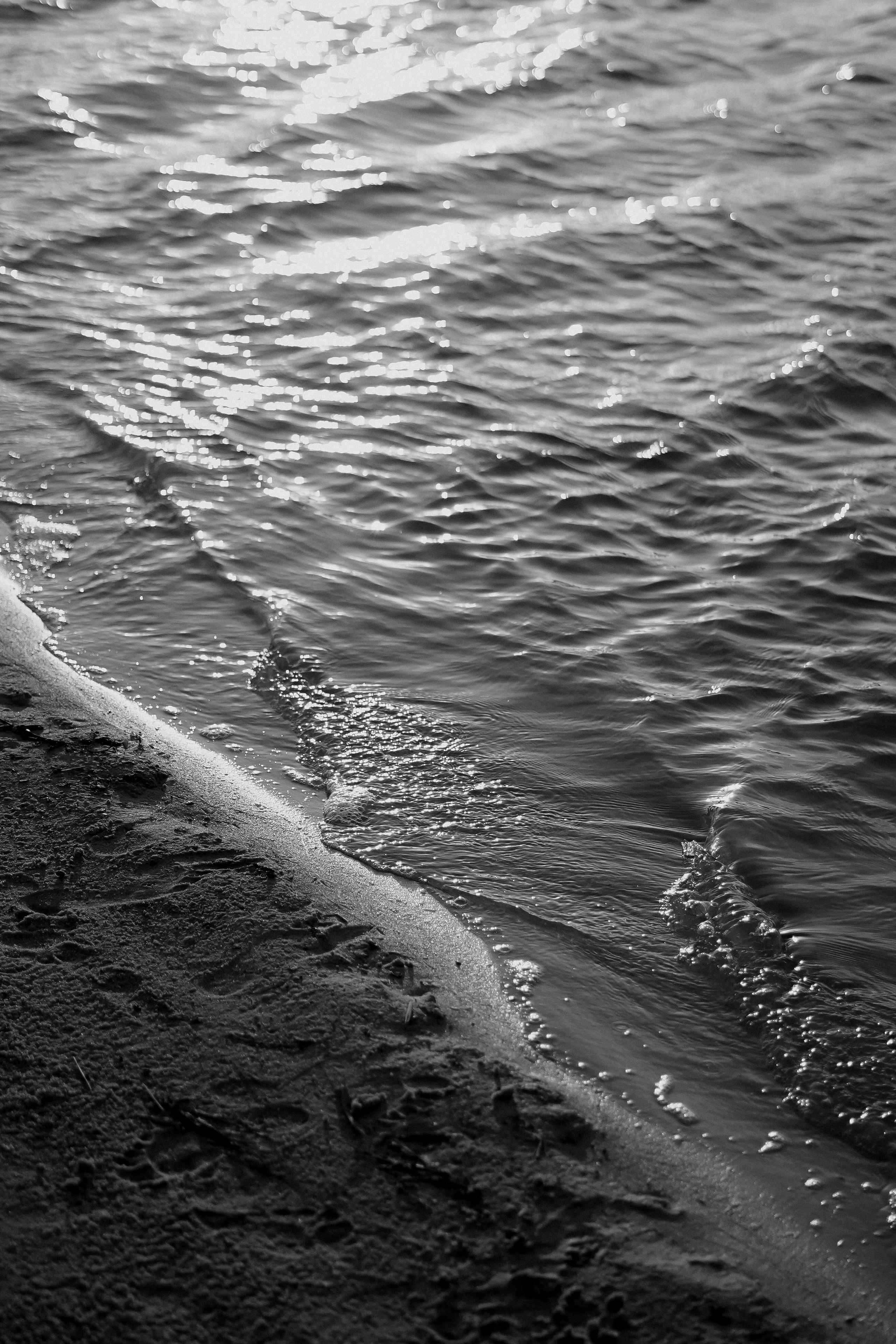 Болдыревы. Фотограф Валерия Крахмалева