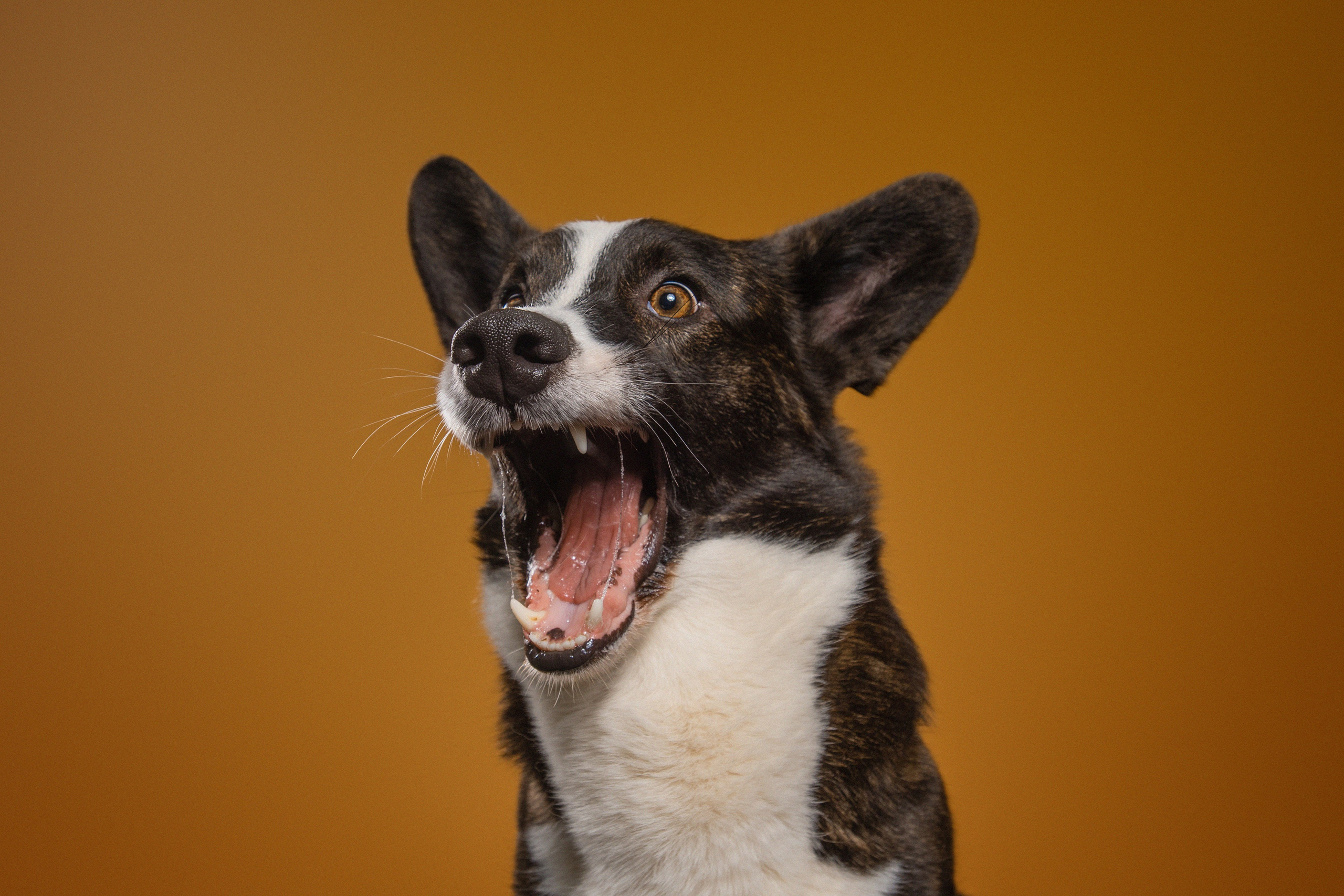 Фотодень в Нижнем Новгороде. Фотограф Анна Тюрина