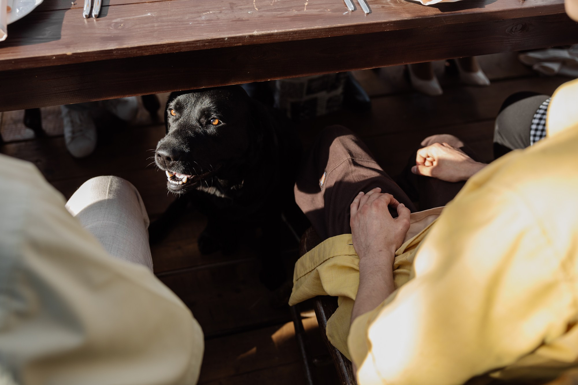 Свадьба в стиле вечеринки. Владимир Киселев — свадебный фотограф в Москве и по всему миру