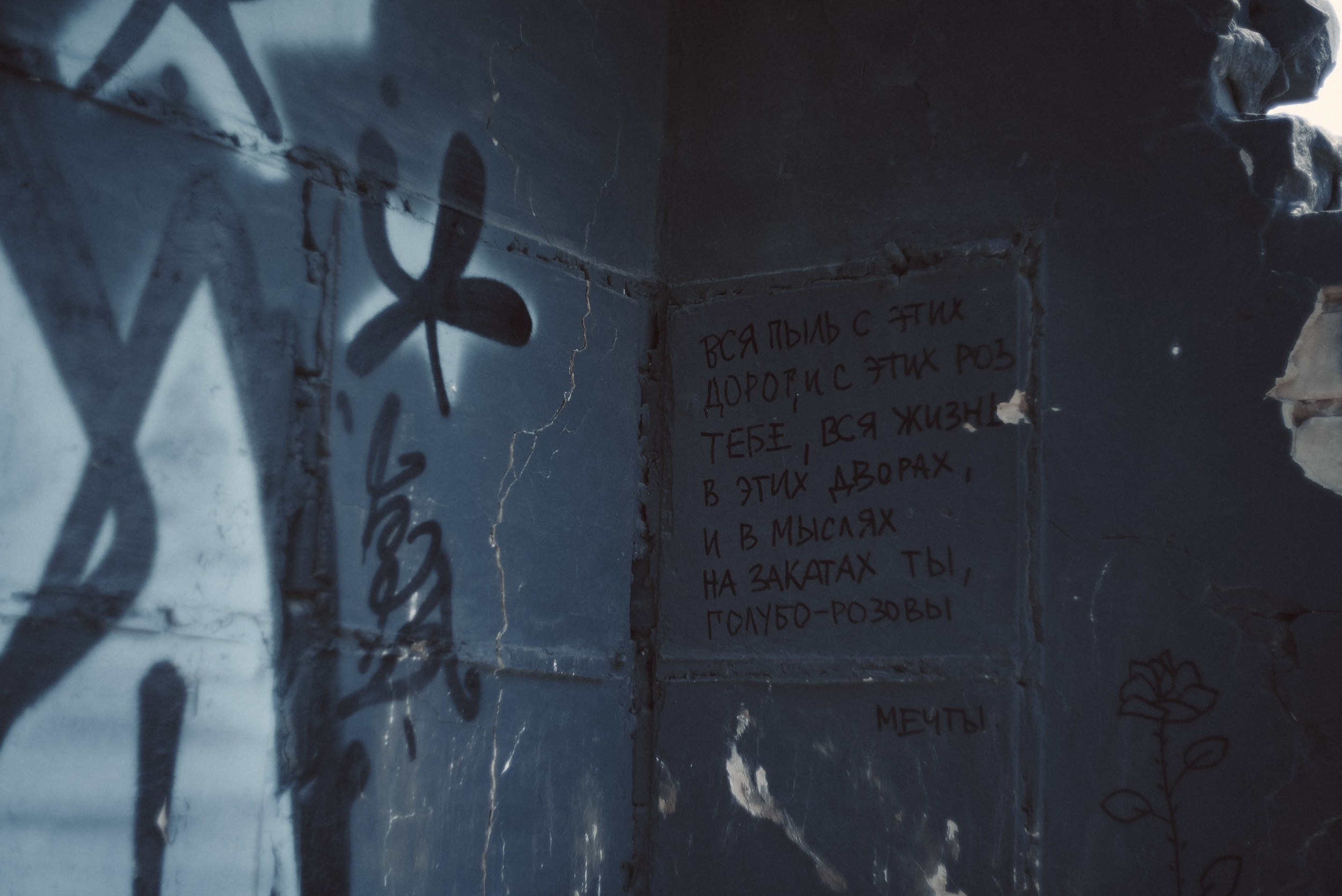 Уличная фотосессия тюмень. Фотограф Дарья Мустафина, Тюмень