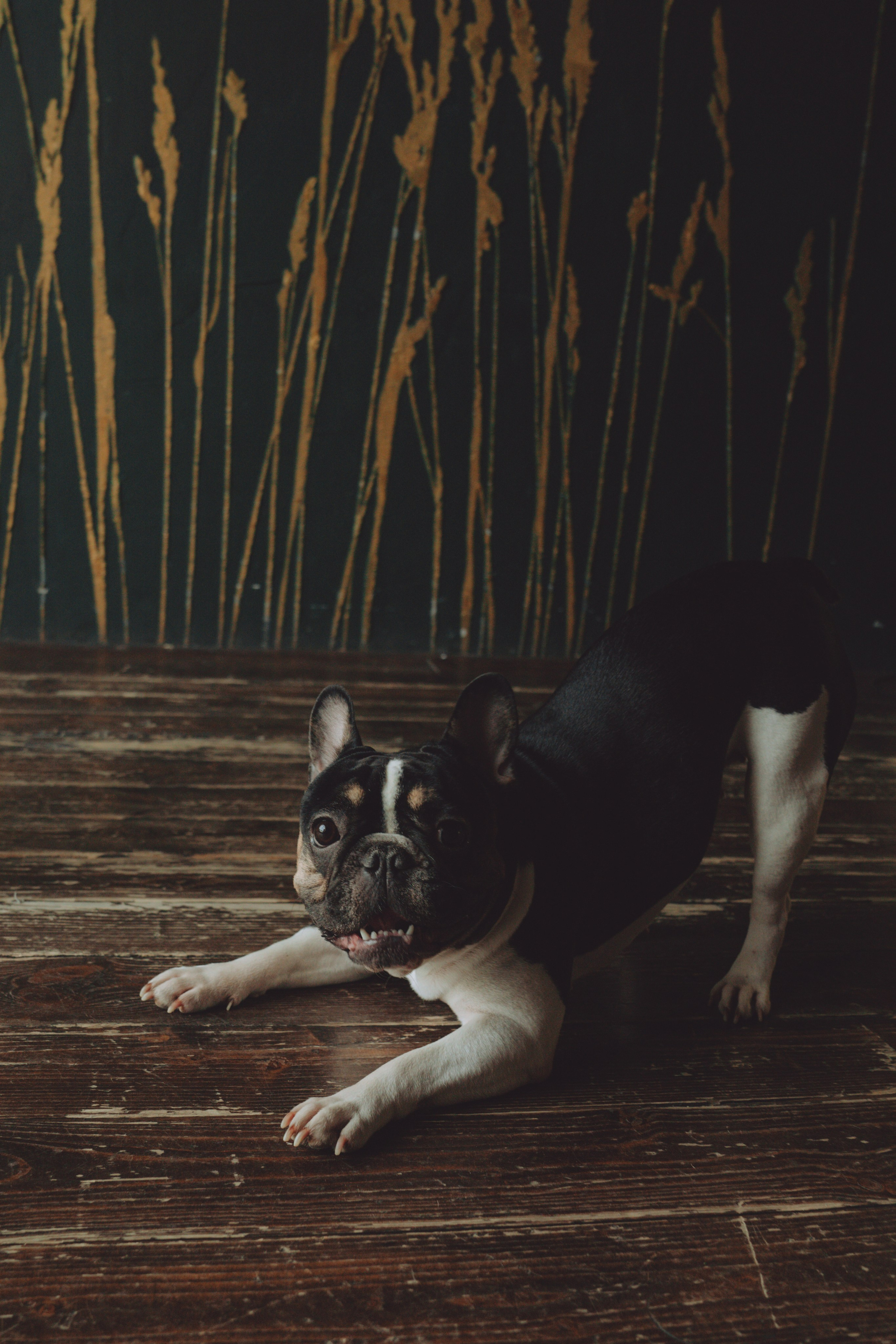 МАЛЕНЬКИЕ ДЕТИ — ЭТО МАЛЕНЬКИЕ ДНИ, НО ОГРОМНЫЕ ВОСПОМИНАНИЯ. Семейный и детский фотограф Анна Бренч